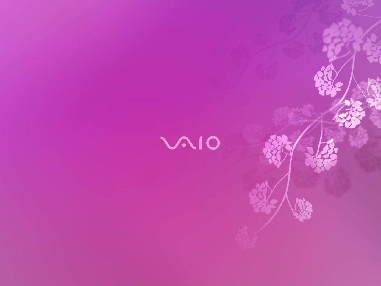Fuchsia Wallpaper, Best Fuchsia Wallpaper, Wide HQFX Background
