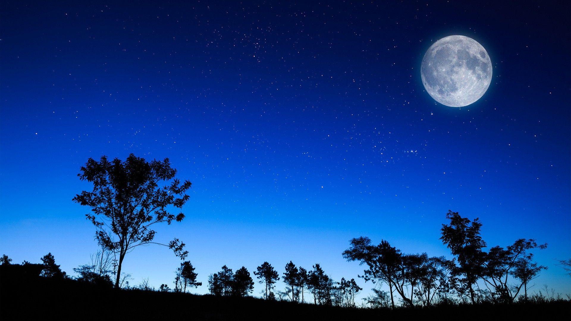 Free Hd Beautiful Full Moon Starry Night Wallpaper Download