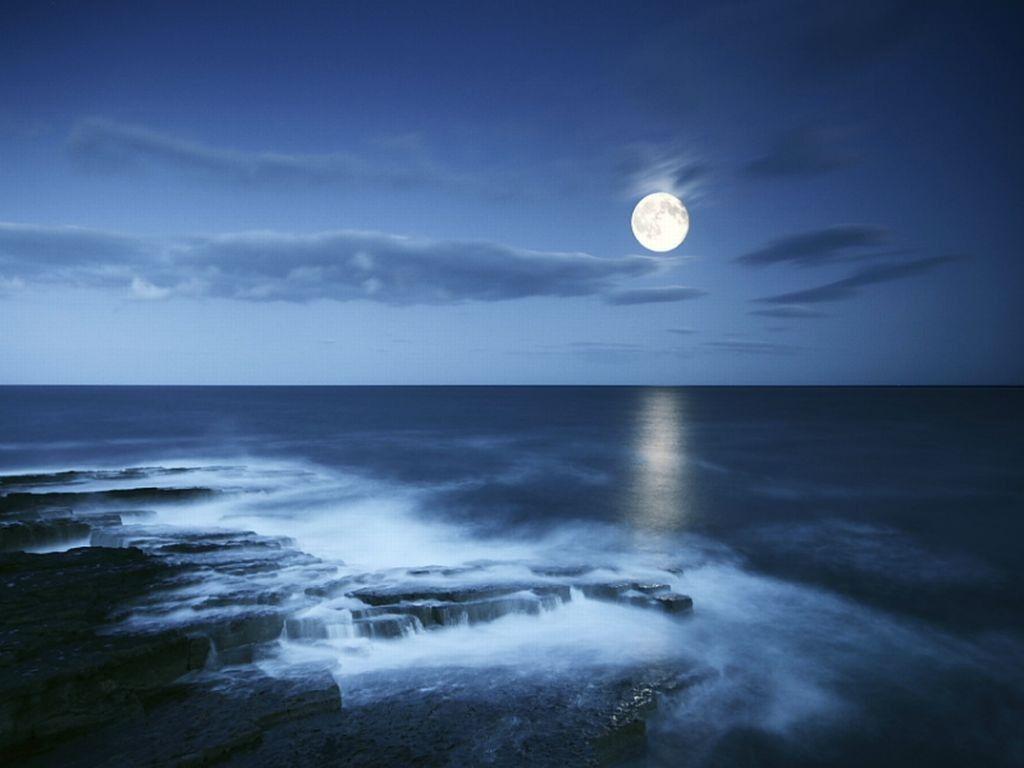 Full Moon Night Beach HD Wallpaper, Background Image