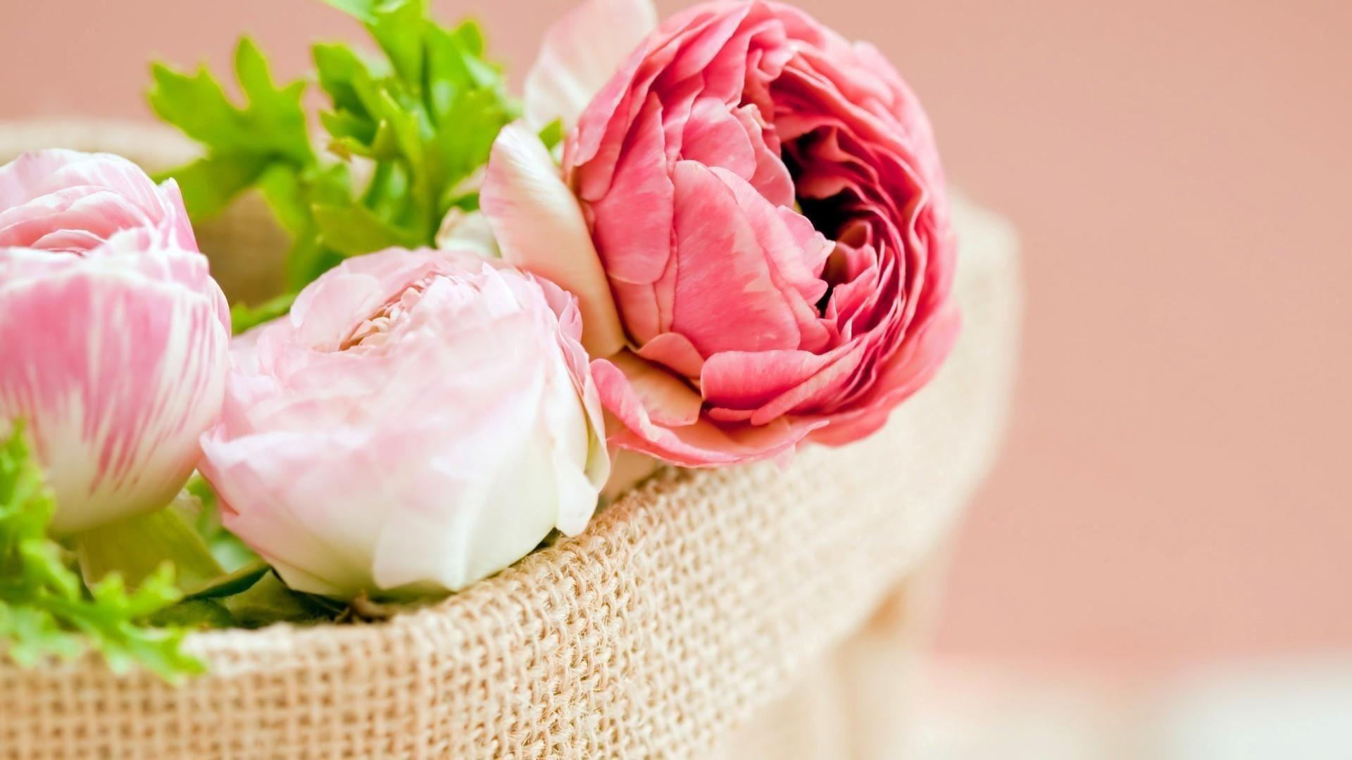 Beautiful Pink Peony Flowers Wallpaper. Wallpaper Studio 10. Tens