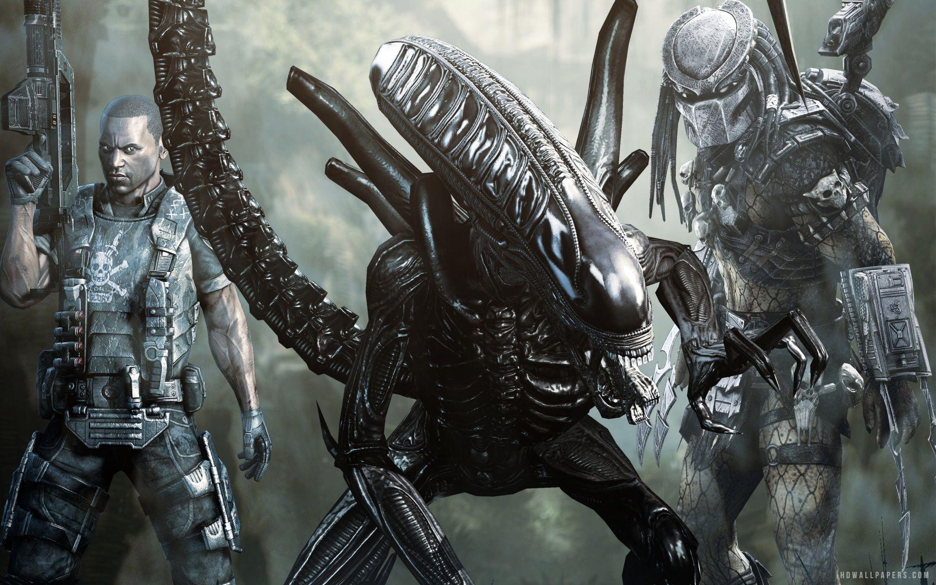 Alien Vs Predator Wallpaper, 36 Alien Vs Predator Gallery