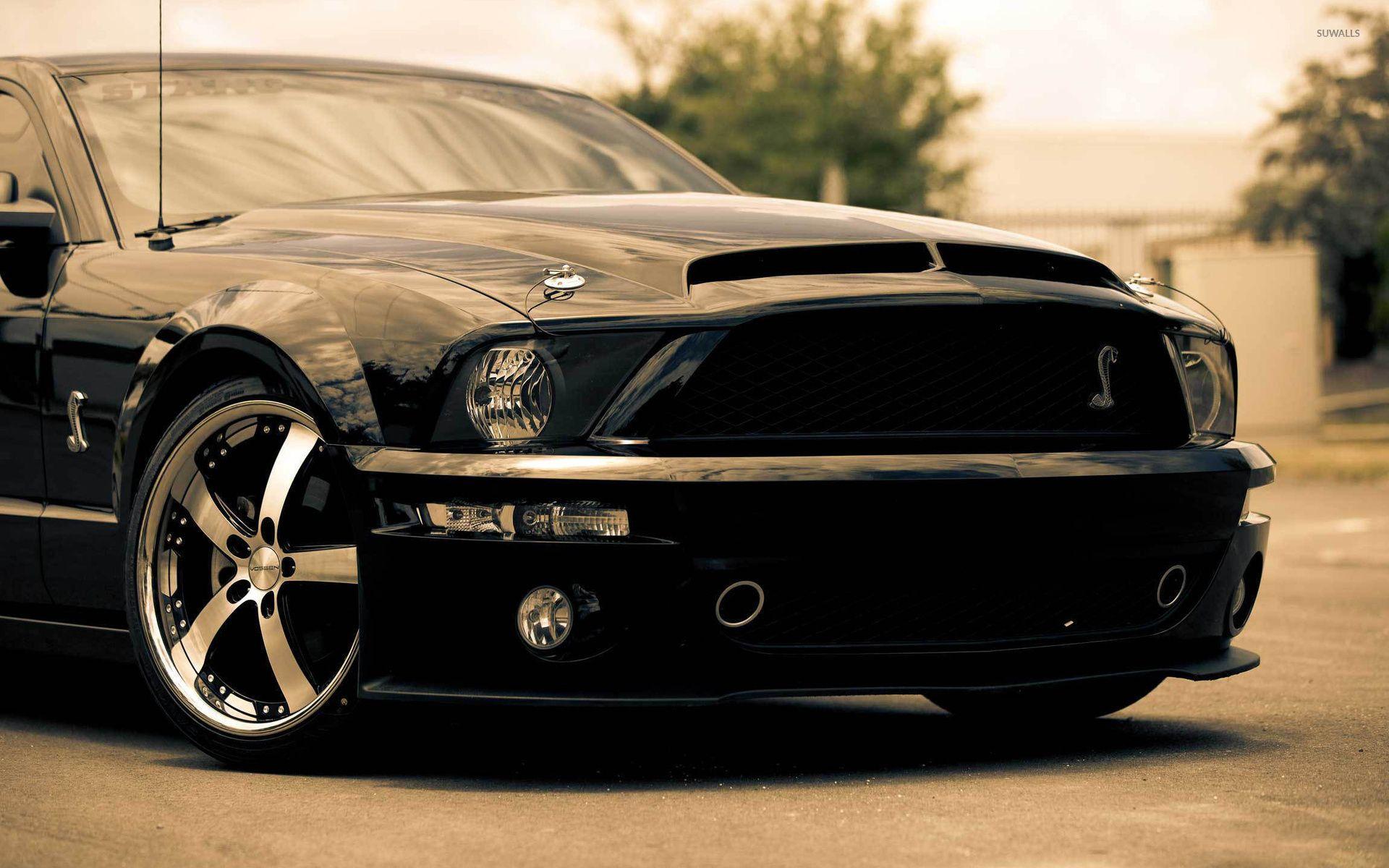 Shelby Mustang wallpaper wallpaper