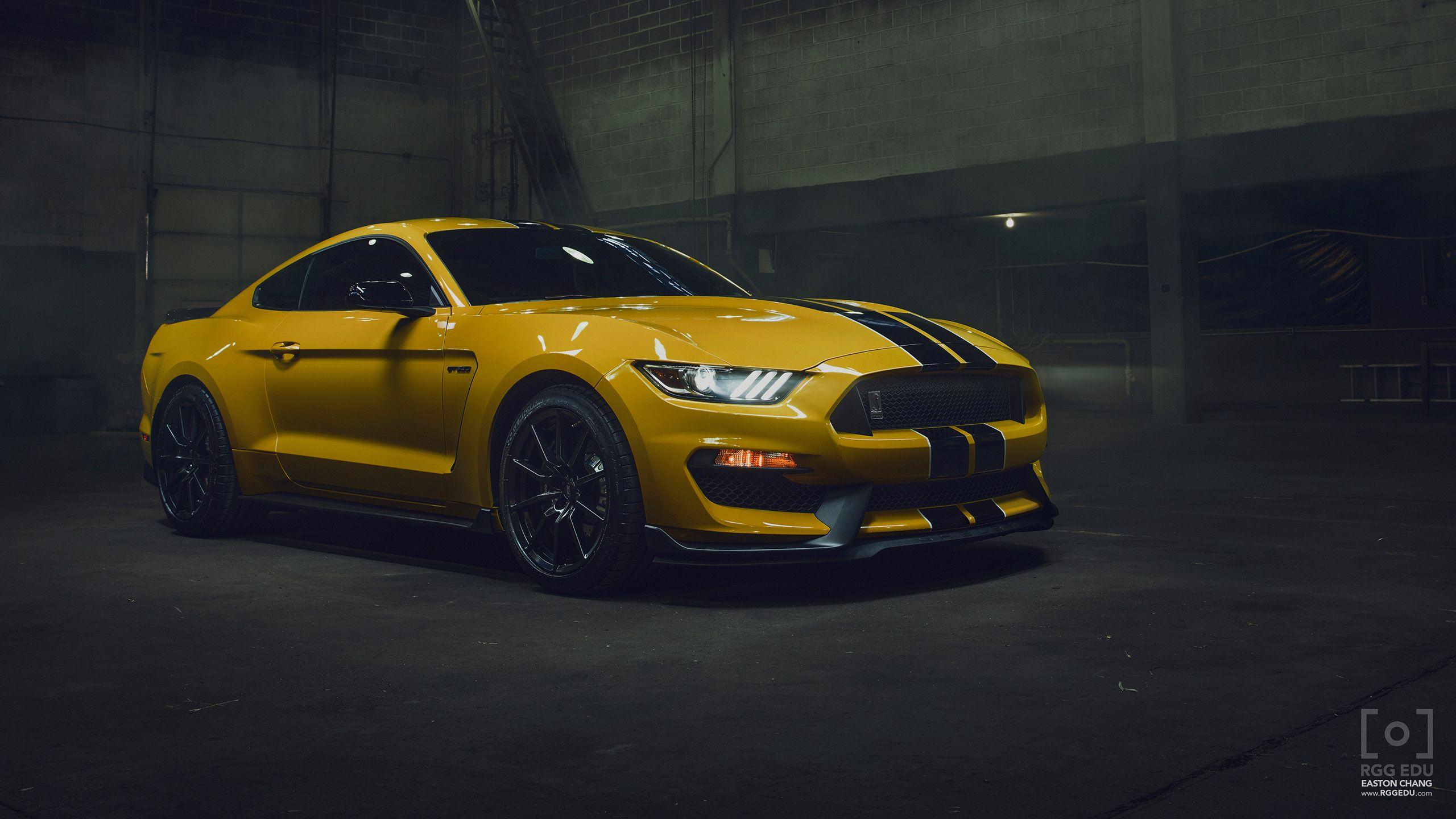 Shelby Mustang GT 350 Wallpaper 6 X 1440