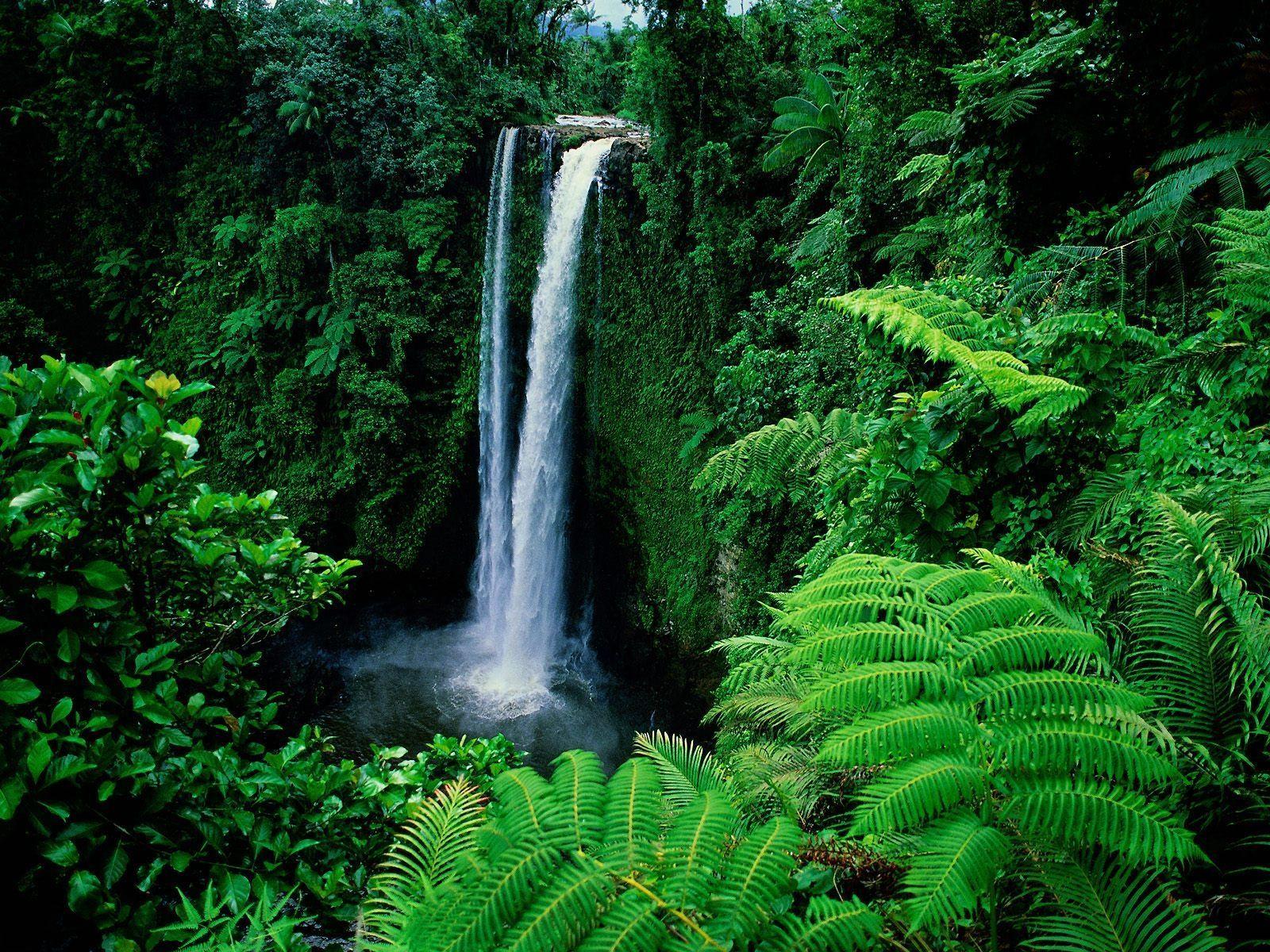 Fuipisia Falls, Upolu island, Samoa. Pacific places, culture
