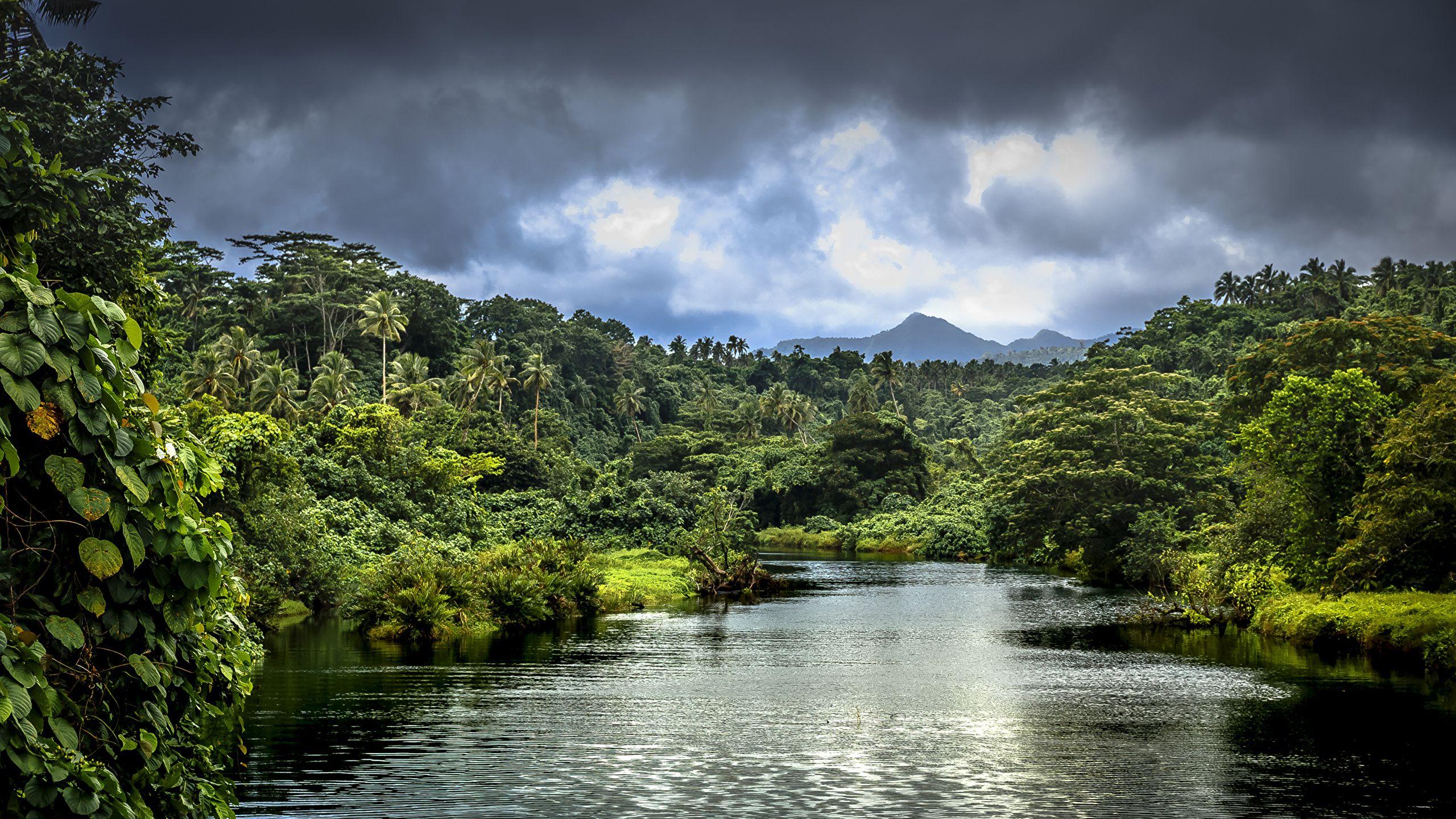 Wallpapers Samoa Nature Forests Tropics Rivers Clouds 2560x1440.