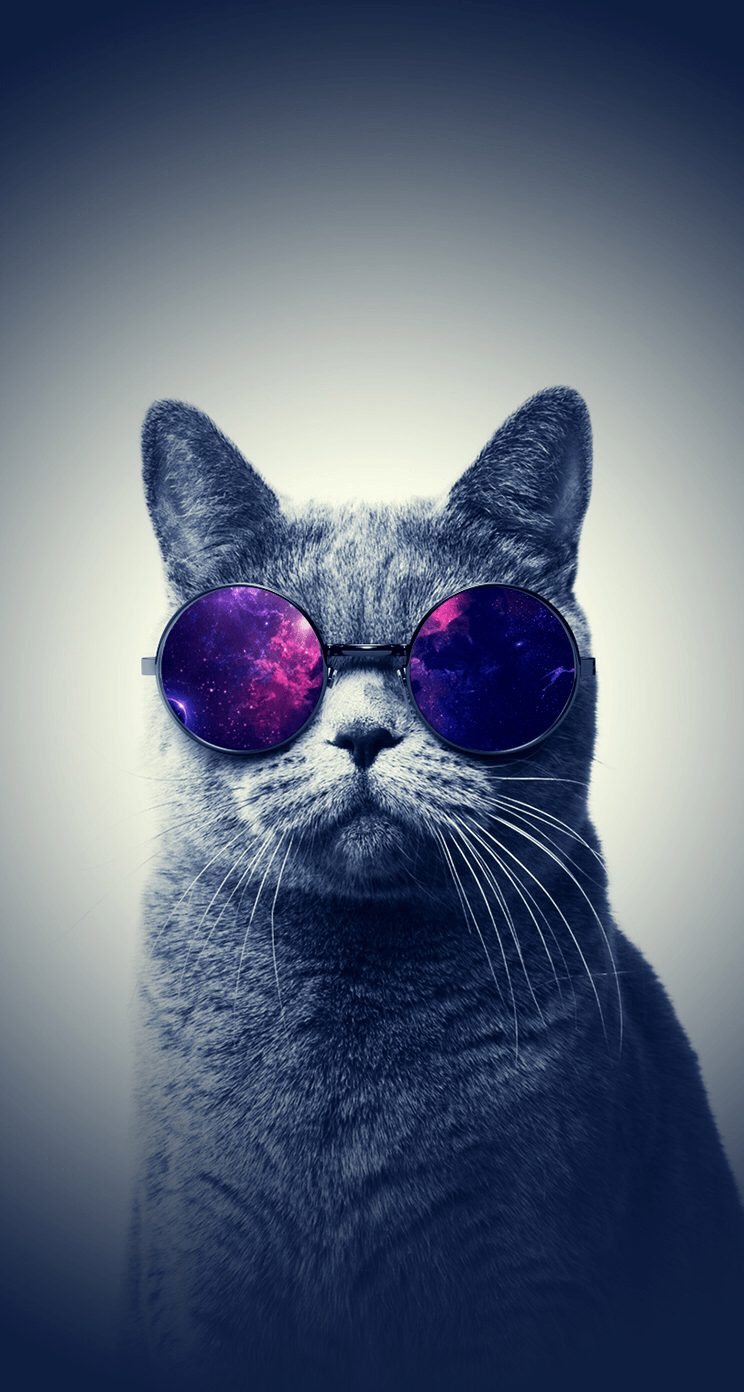 cat #background. Background. Galaxy cat and Wallpaper