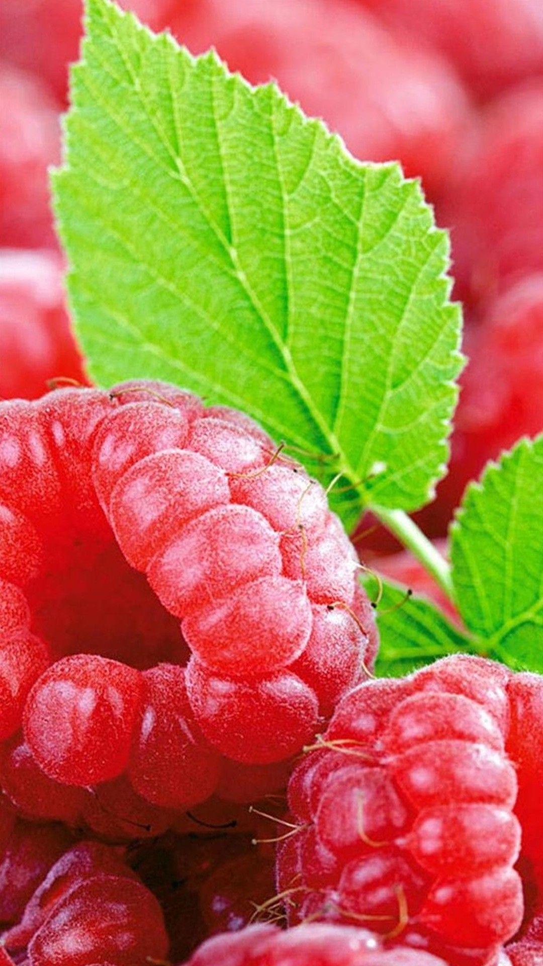 Raspberry fruit htc one wallpaper, free and easy to download