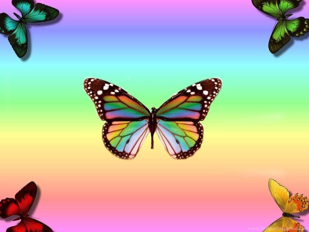 Picture rainbow beautiful butterfly Desktop Background