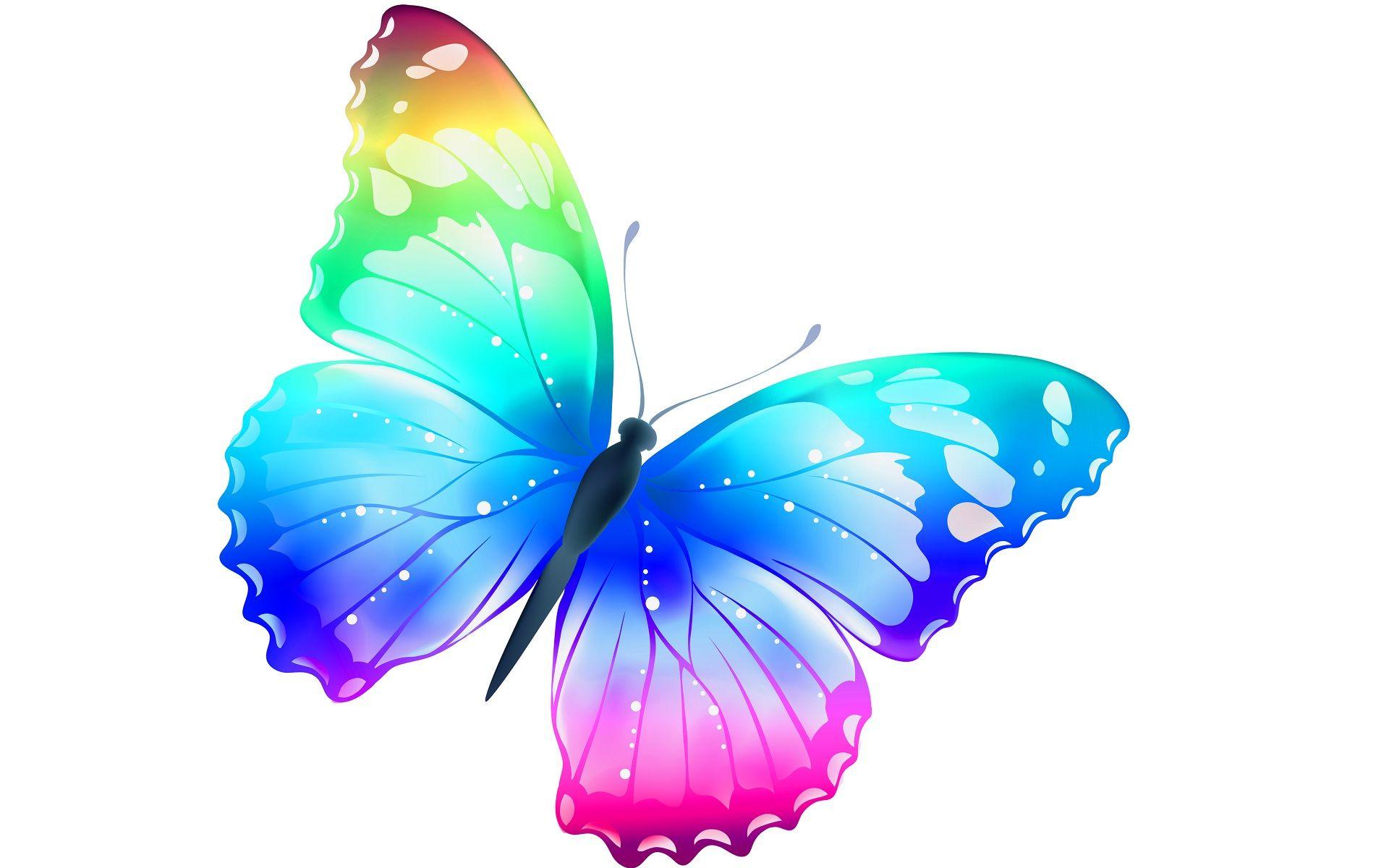 RGB Butterfly Wallpaper, Butterfly Wallpaper. HD Wallpaper Top