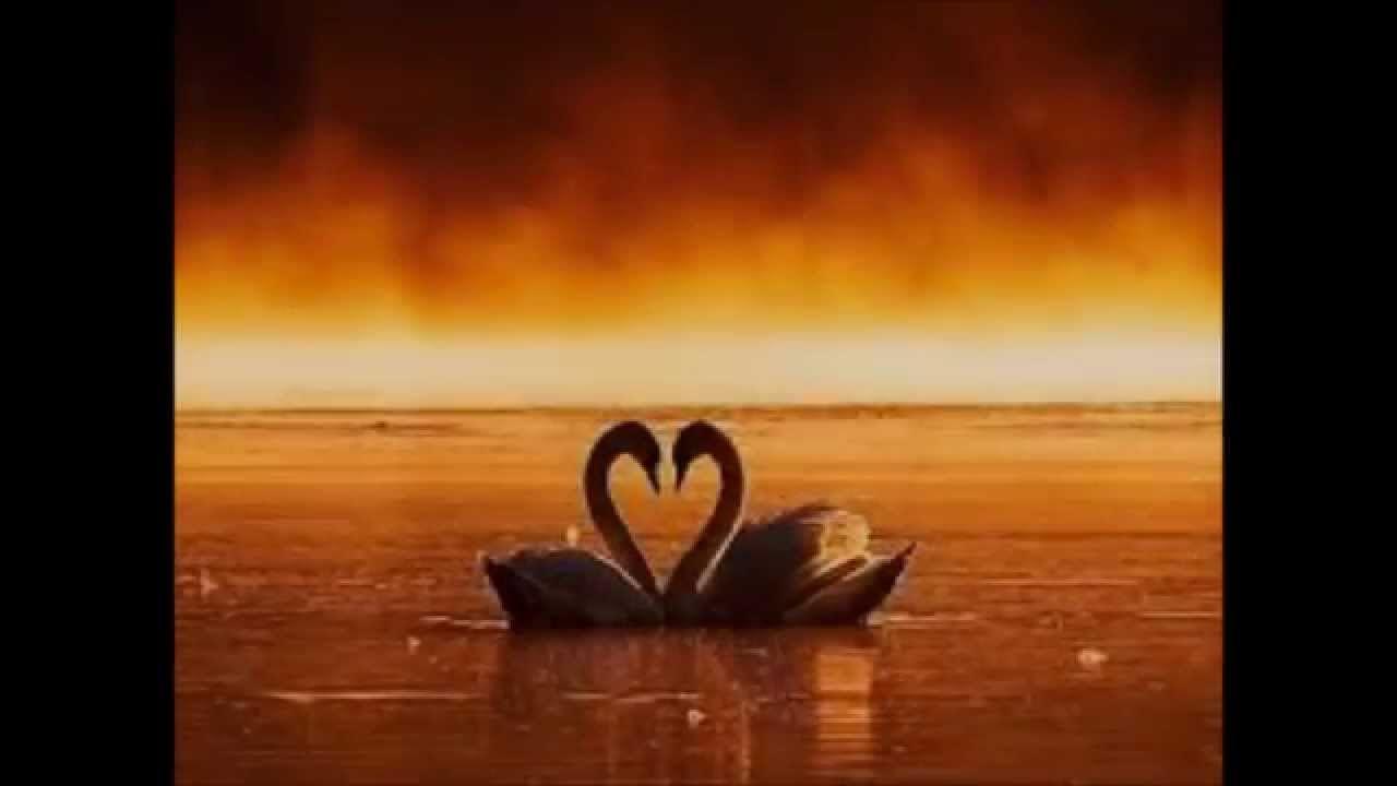 Postales gratis te esperaba. Frases de amor y Mensajes d Amor