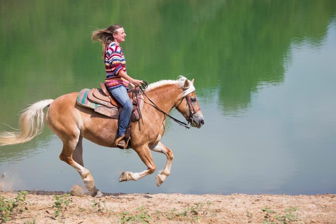 Horse riding Stock Photos, Royalty Free Horse riding Images | Depositphotos