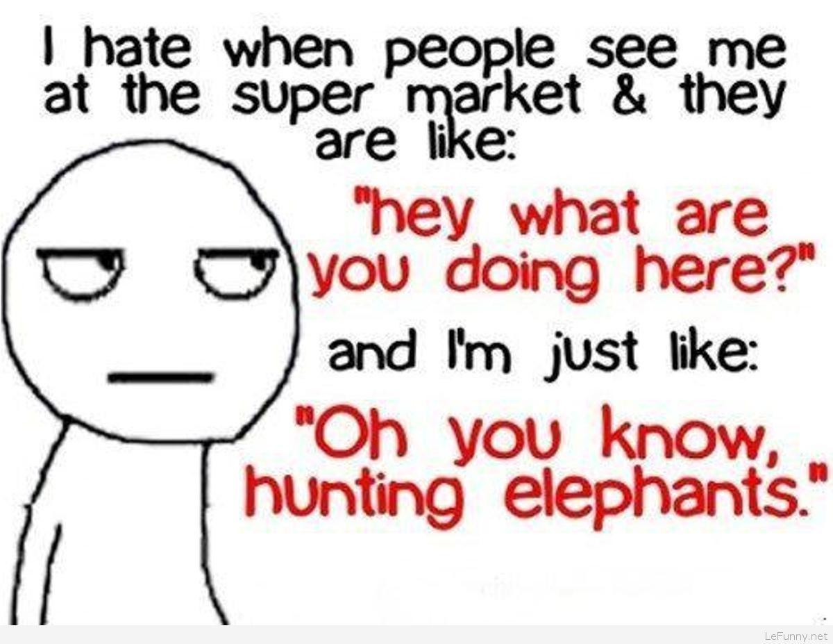 Confusing Funny Qoutes Wallpapers Wallpaper Cave