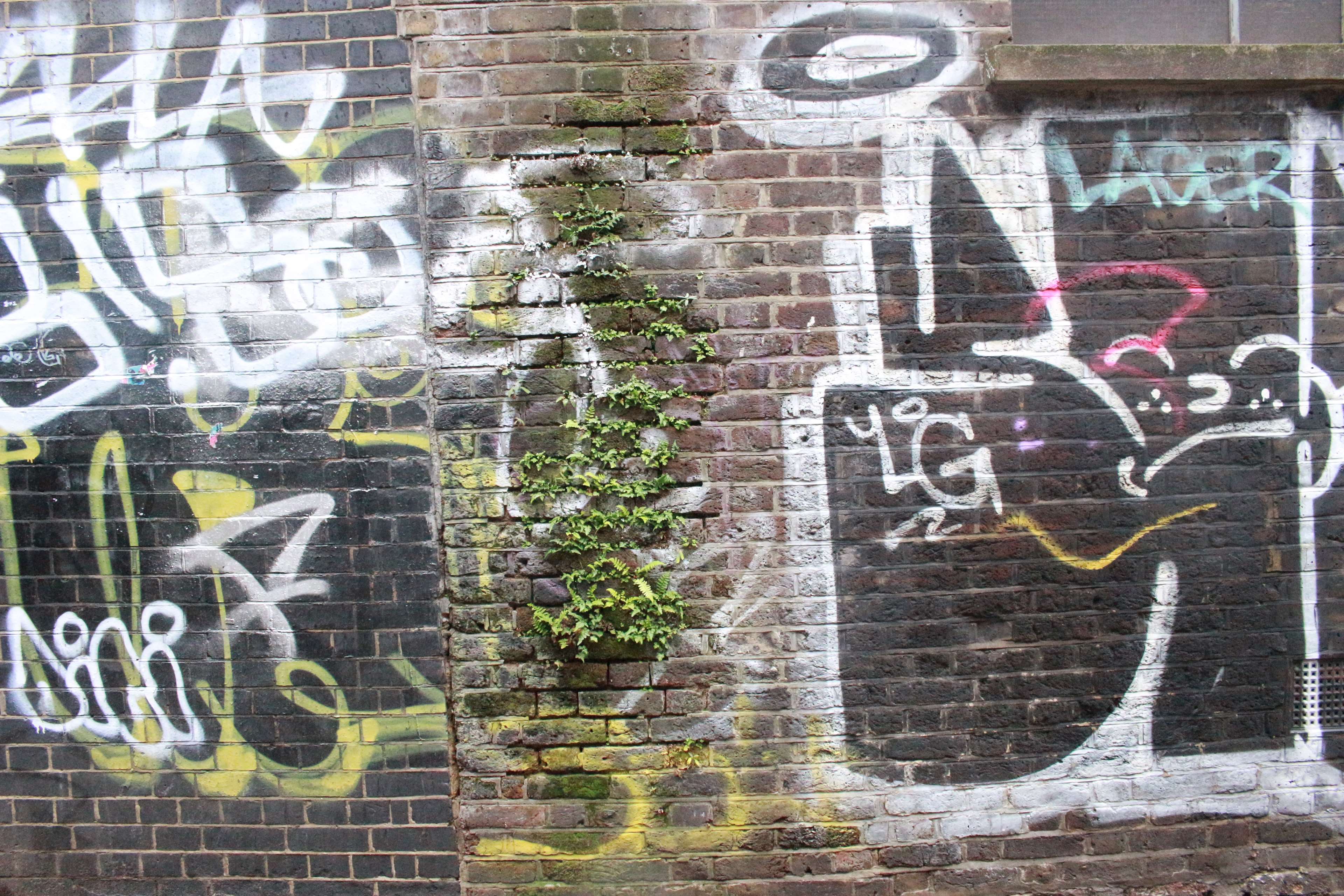 art, brick wall, graffiti street art, leaves, letters, london, plant