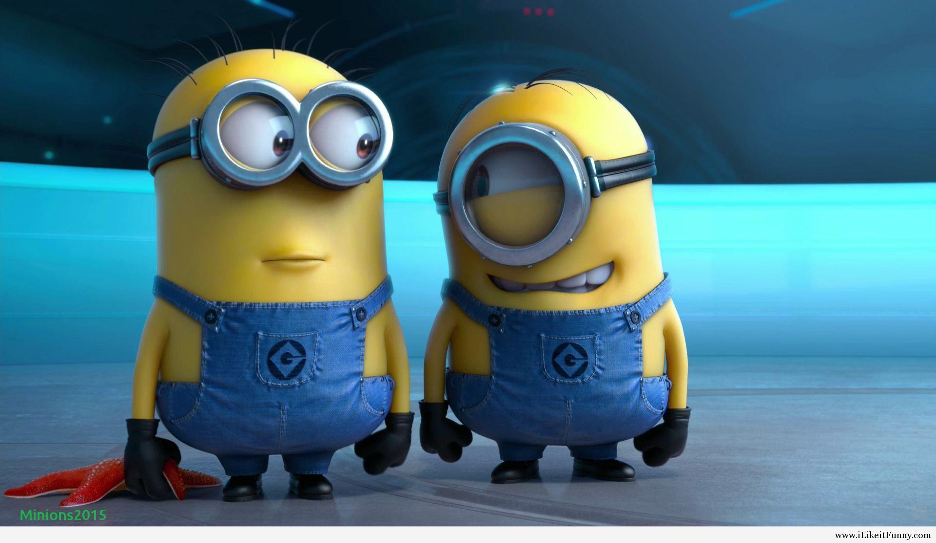 √ Luxury Top 50 Minions Funny Picture Image Wallpaper Hd 2015 2016