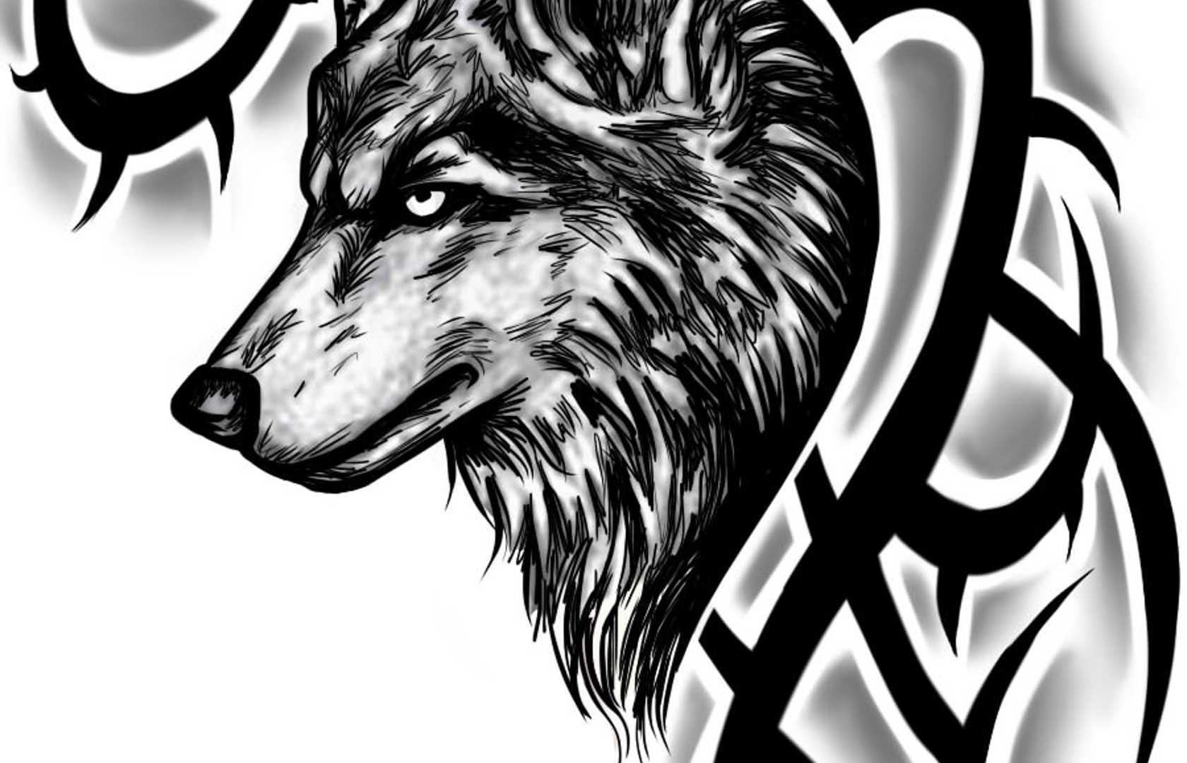 Tribal Animal Tattoo Art Designs Wallpaper Widescreen Desktop Free