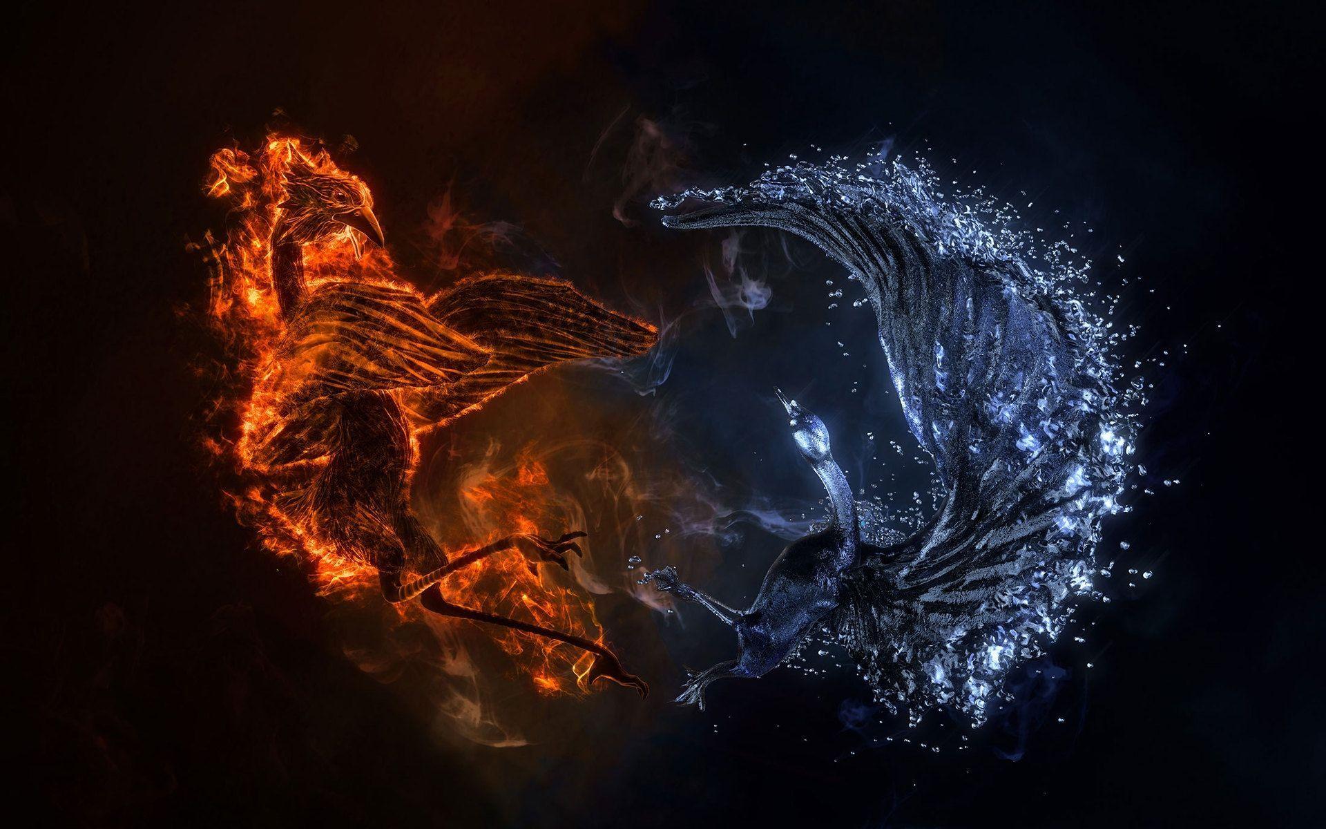 Fire and water wallpaper. Wallpaper Wide HD. wolf