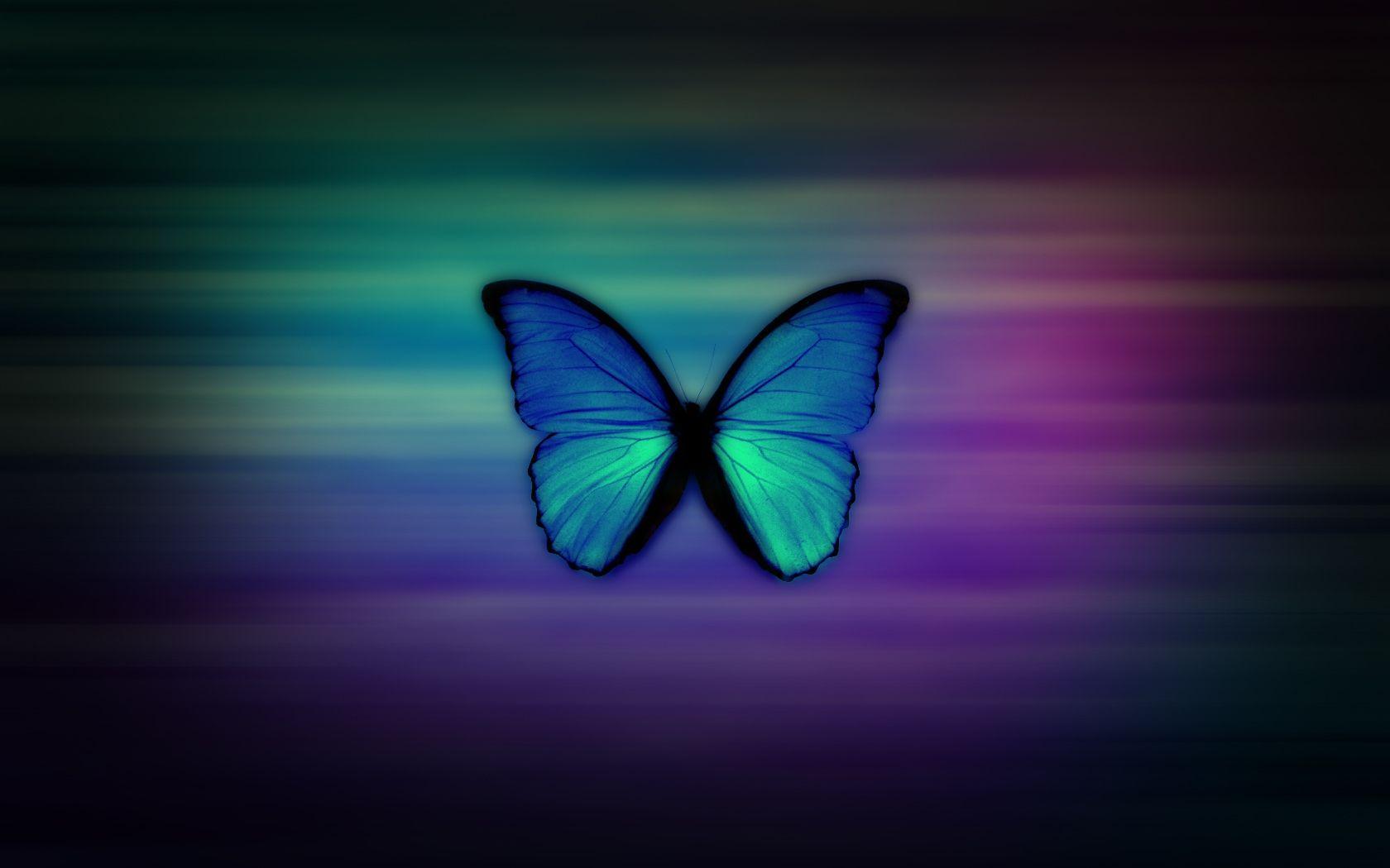 Girly Wallpaper Butterfly