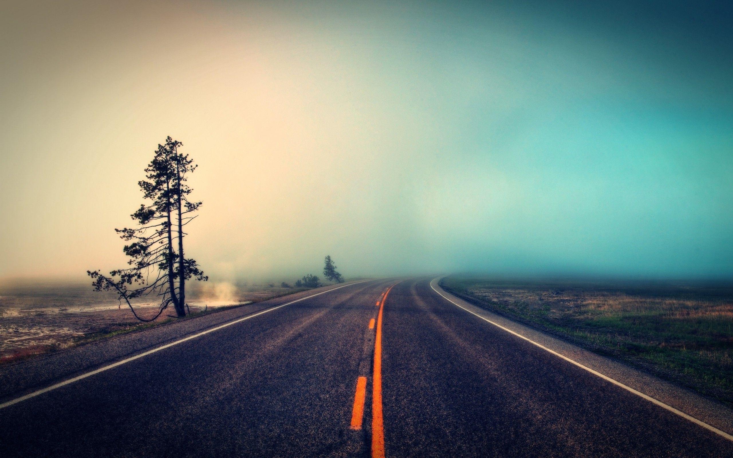 road Full HD Wallpaper and Background Imagex1600