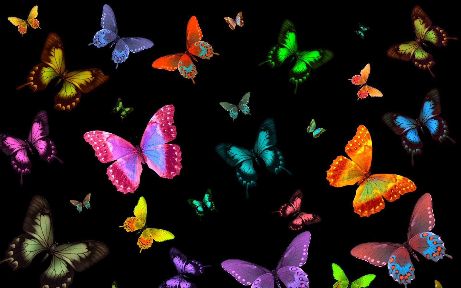 Bright vivid butterflies on black background wallpaper. HD