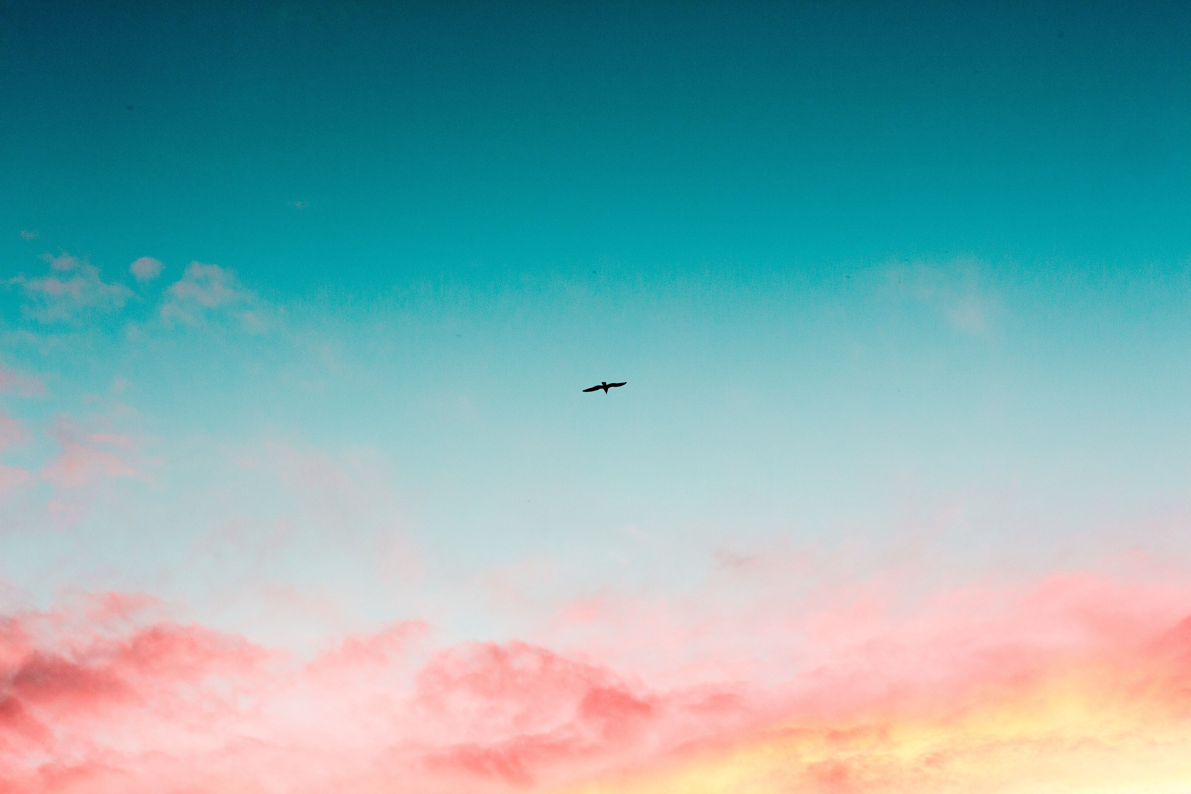 Beautiful Sky · Free