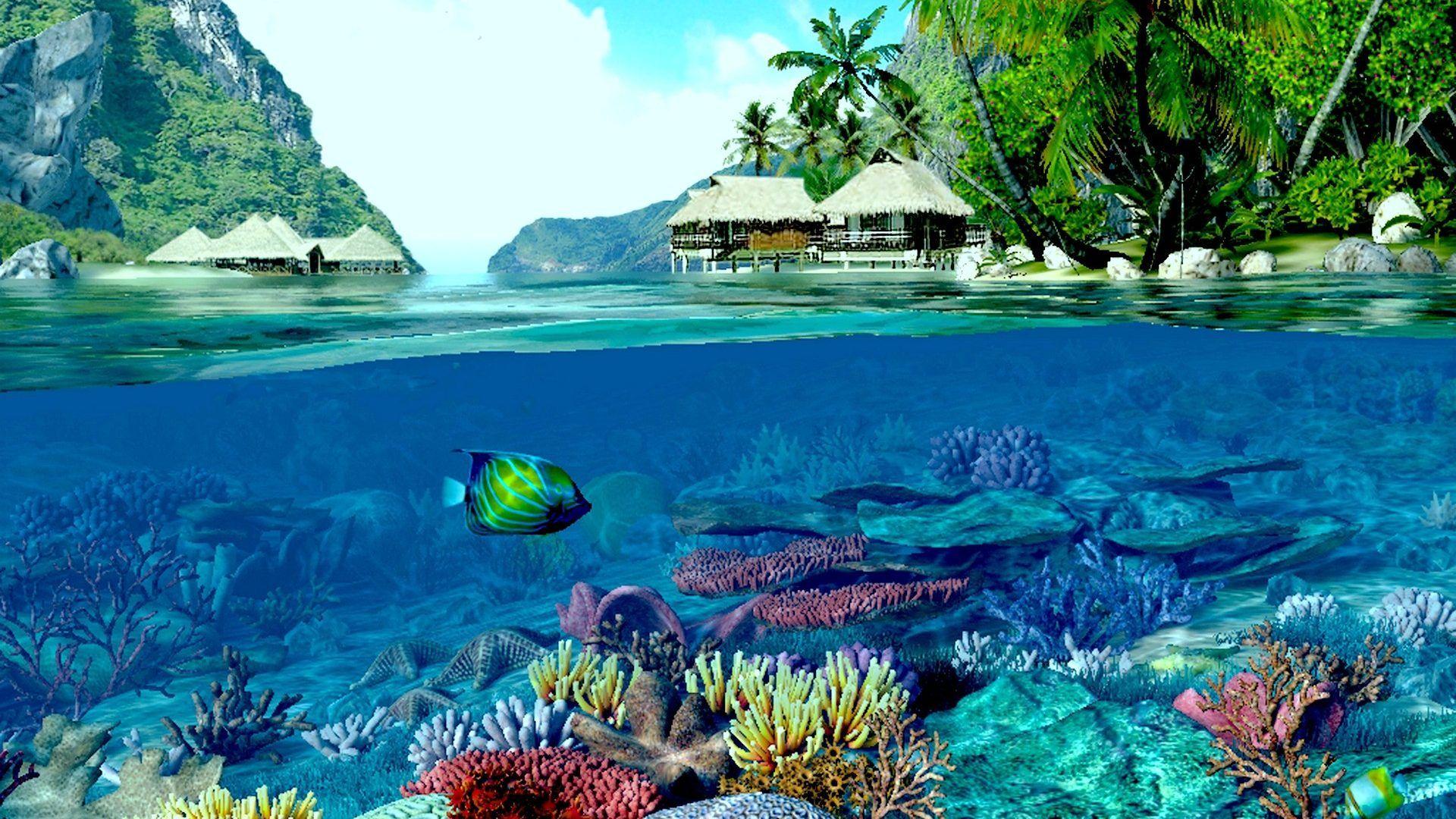 Awesome Colorful Wallpaper Beautiful Coral Reef Pics