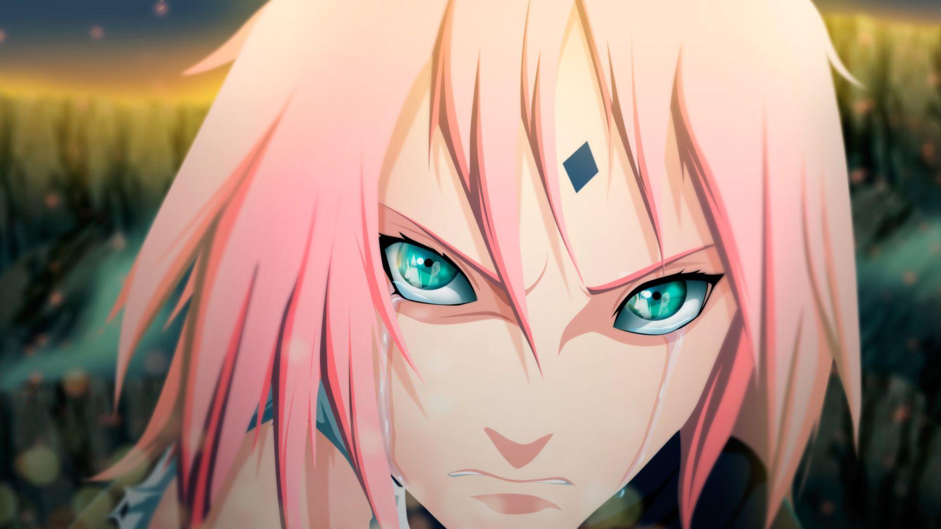 Wallpapers De Sakura Haruno Wallpaper Cave