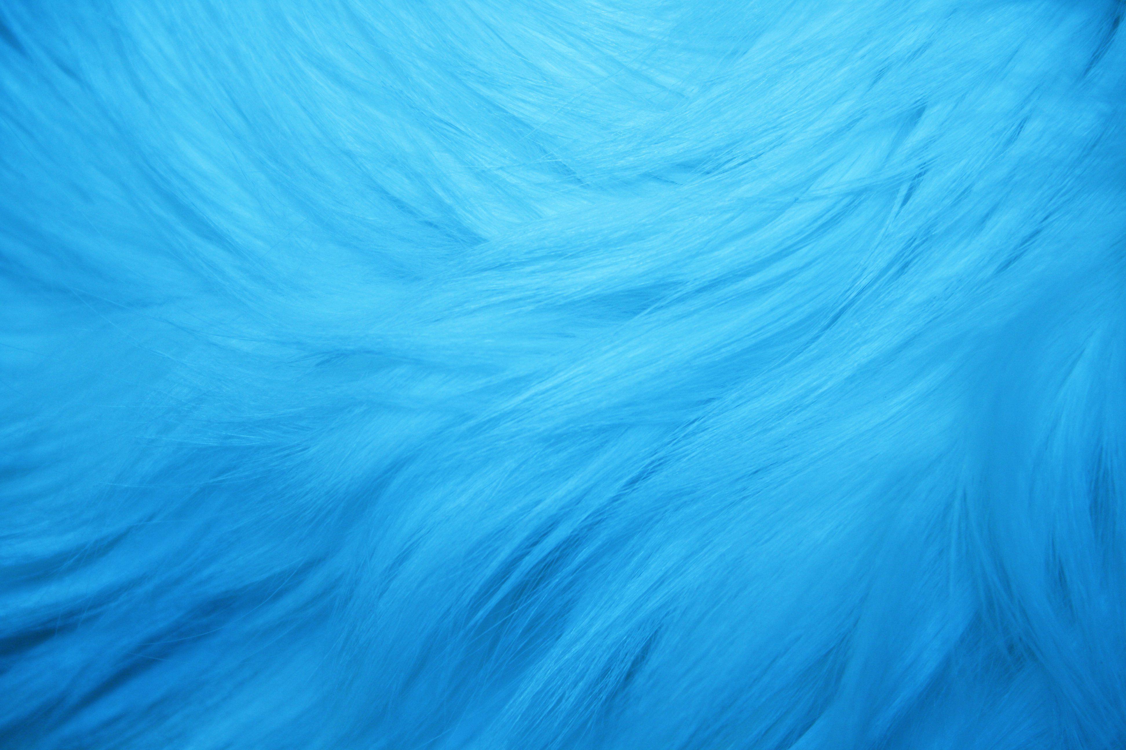 Light Blue Fur Texture Picture. Free Photograph. Photo Public Domain