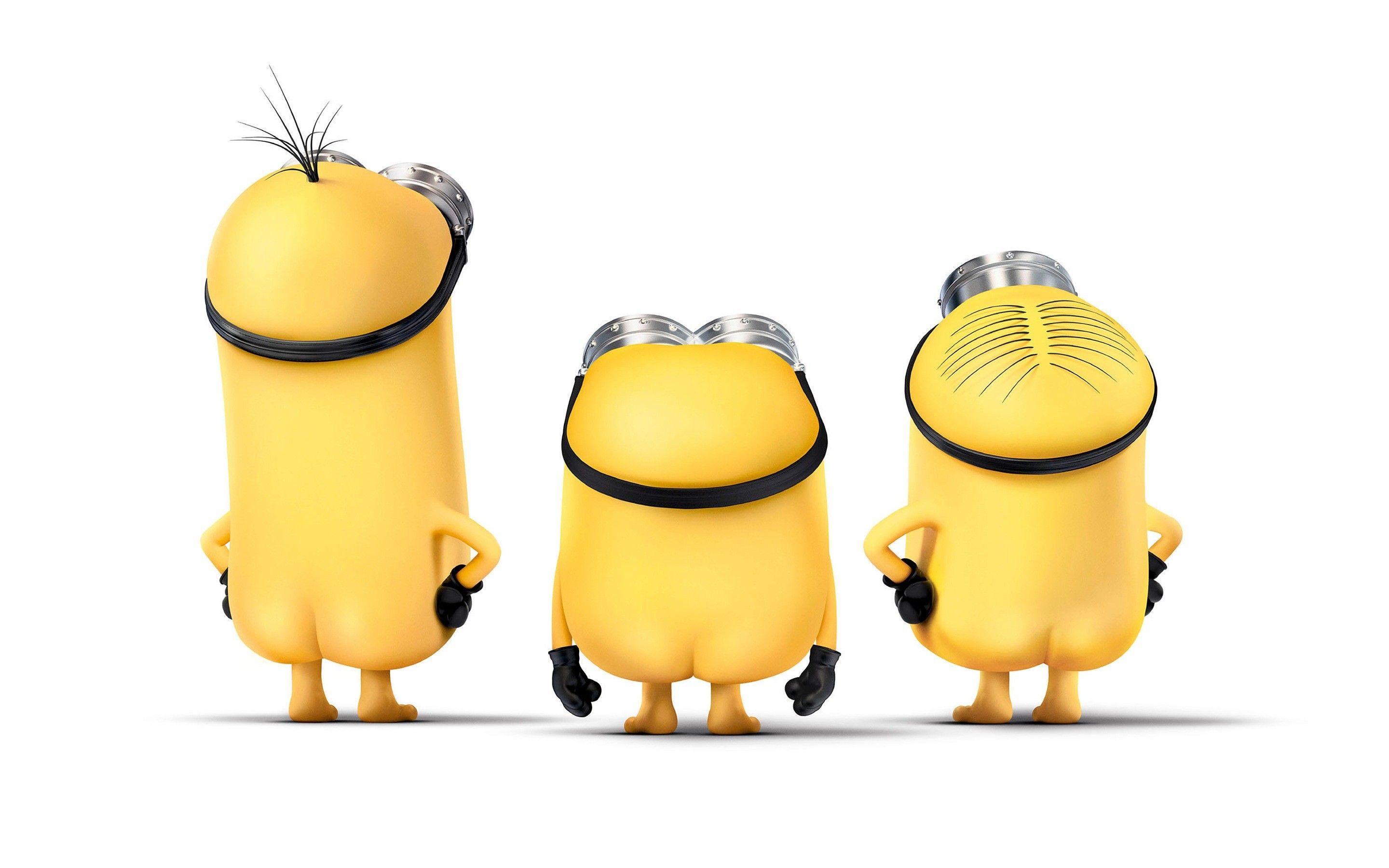 Minion Bob Wallpaper 19 HD Wallpaper Free