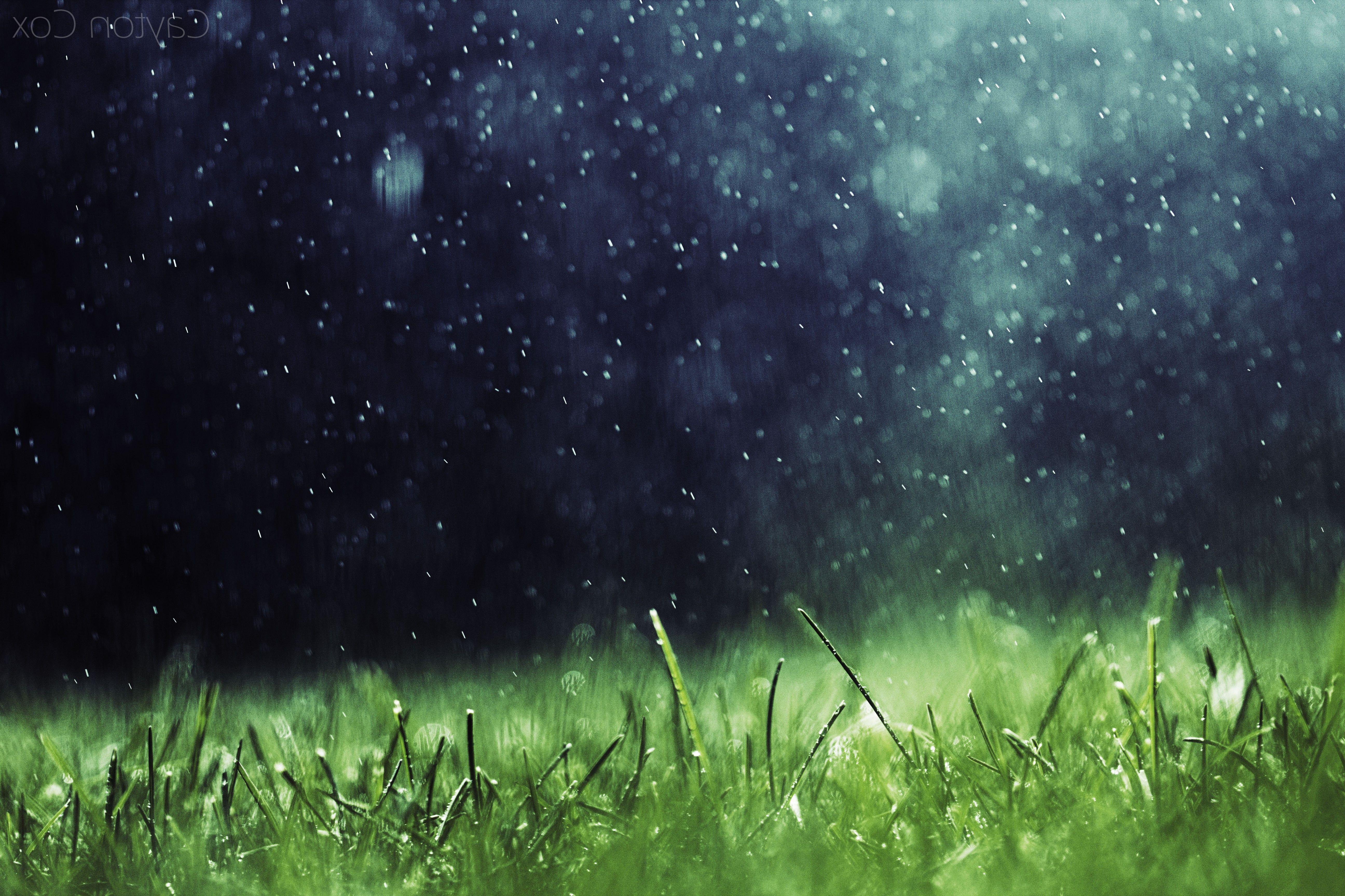 artwork, Nature, Rain, Grass Wallpaper HD / Desktop and Mobile