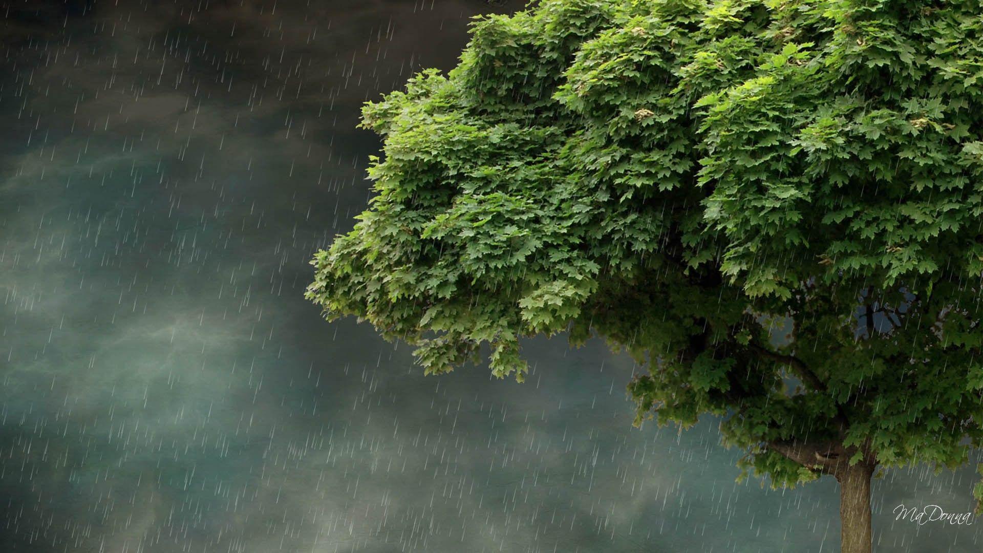 Best Collection Beautiful Rain For, Rainy Scenes HD wallpaper | Pxfuel
