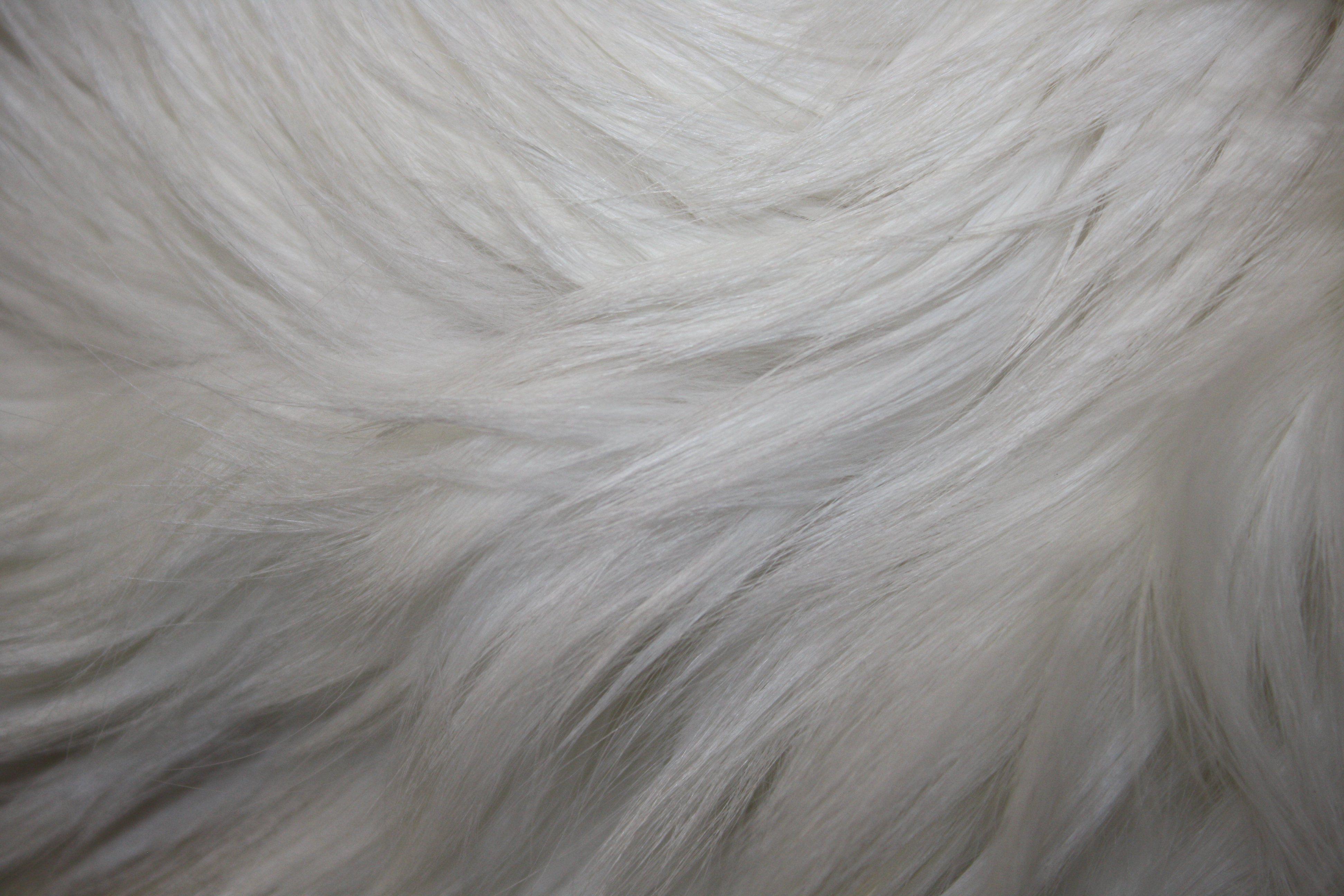 White Fur Texture Picture. Free Photograph. Photo Public Domain