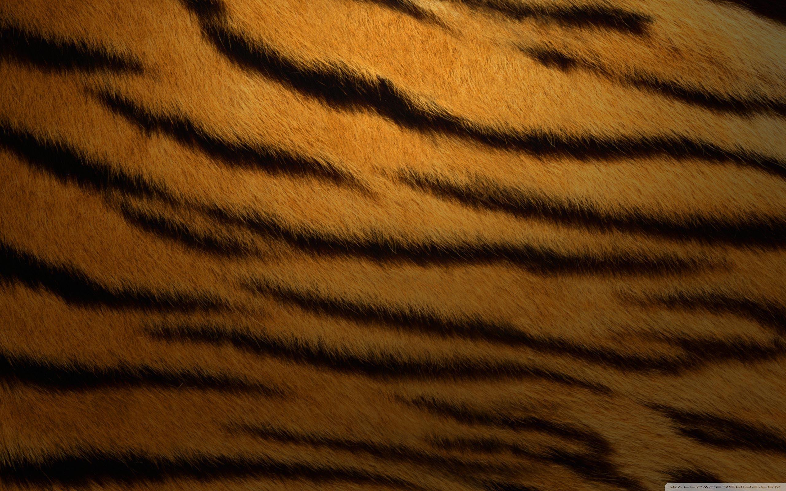 Tiger Fur Background ❤ 4K HD Desktop Wallpaper for 4K Ultra HD TV