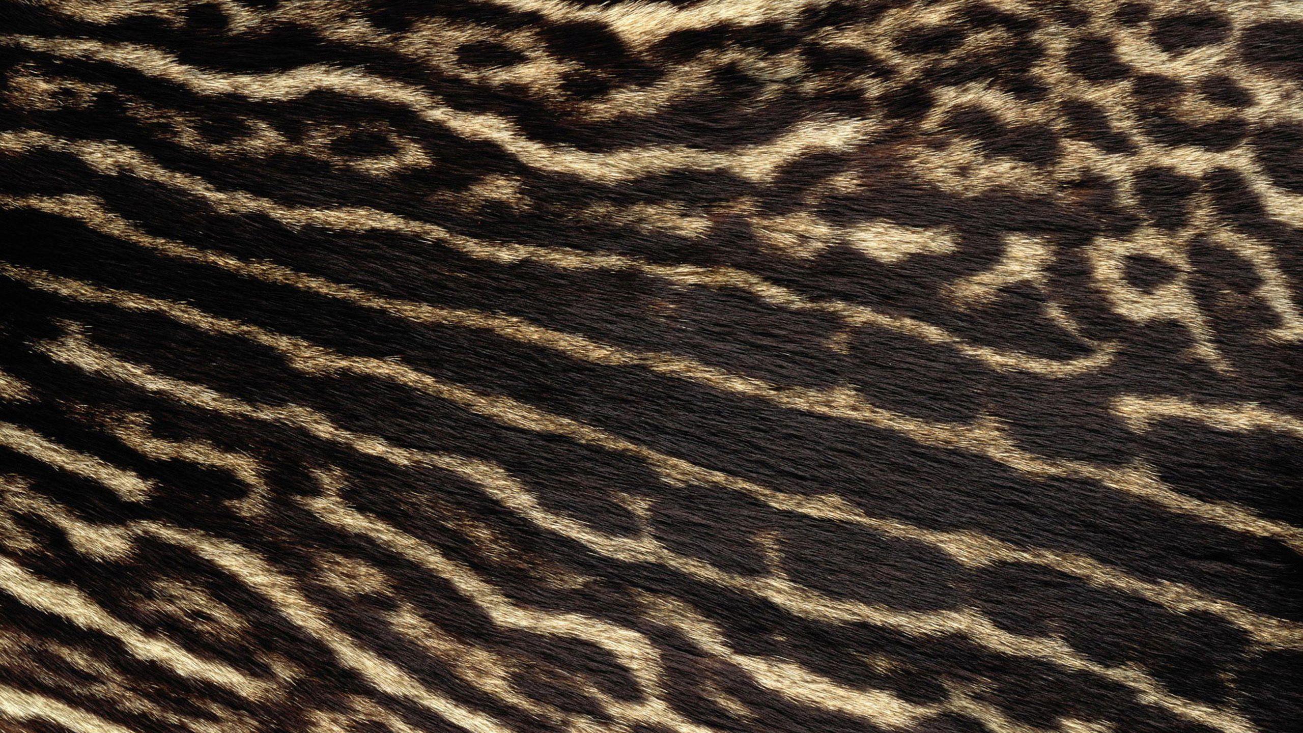 Fur Wallpaper