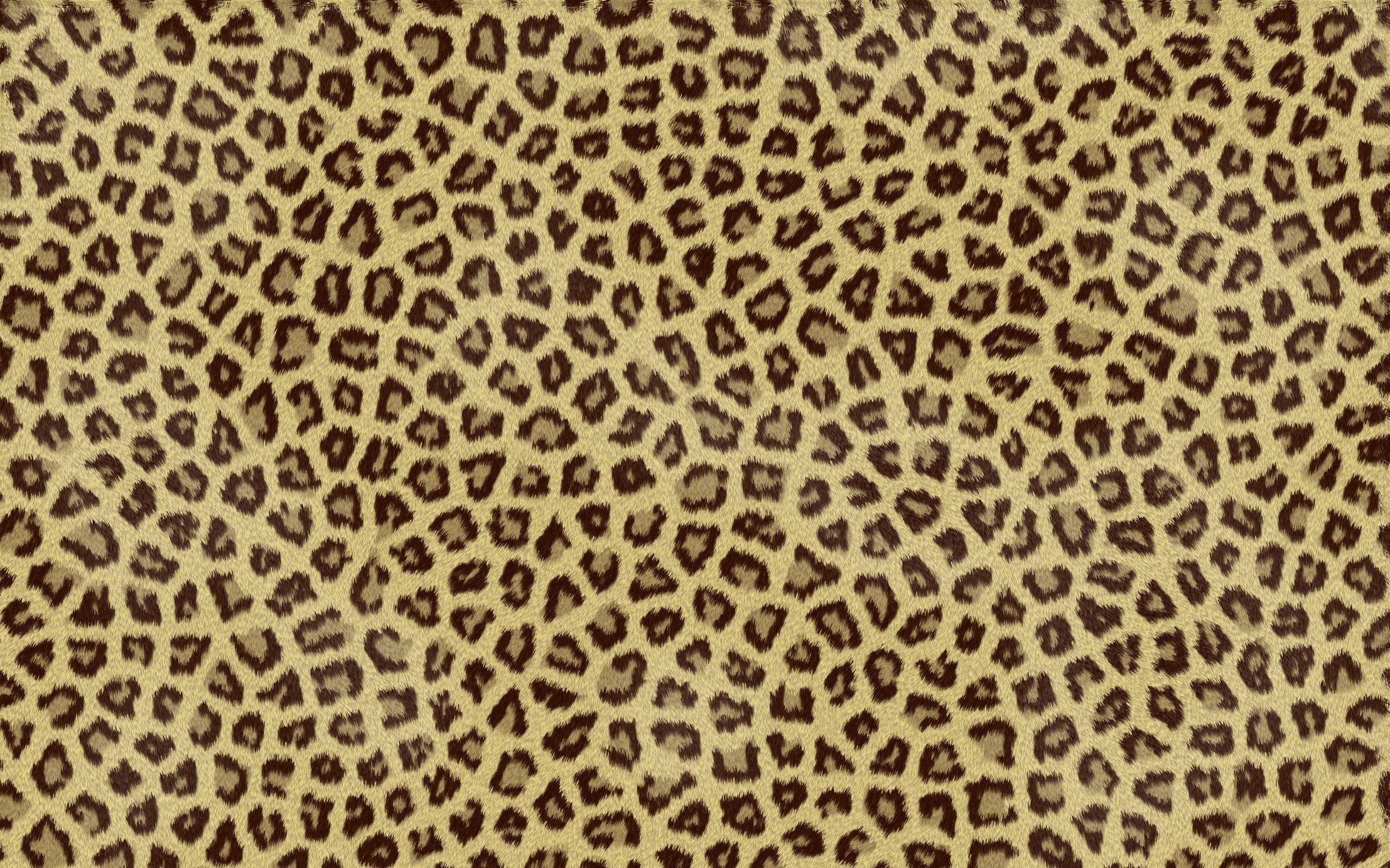 animal print background for twitter download desktop wallpaper
