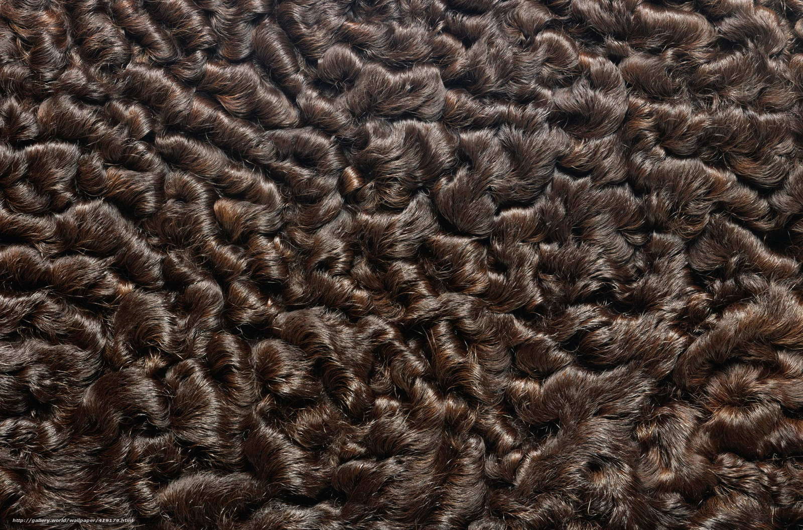 Download wallpaper texture, fur, background in business free desktop