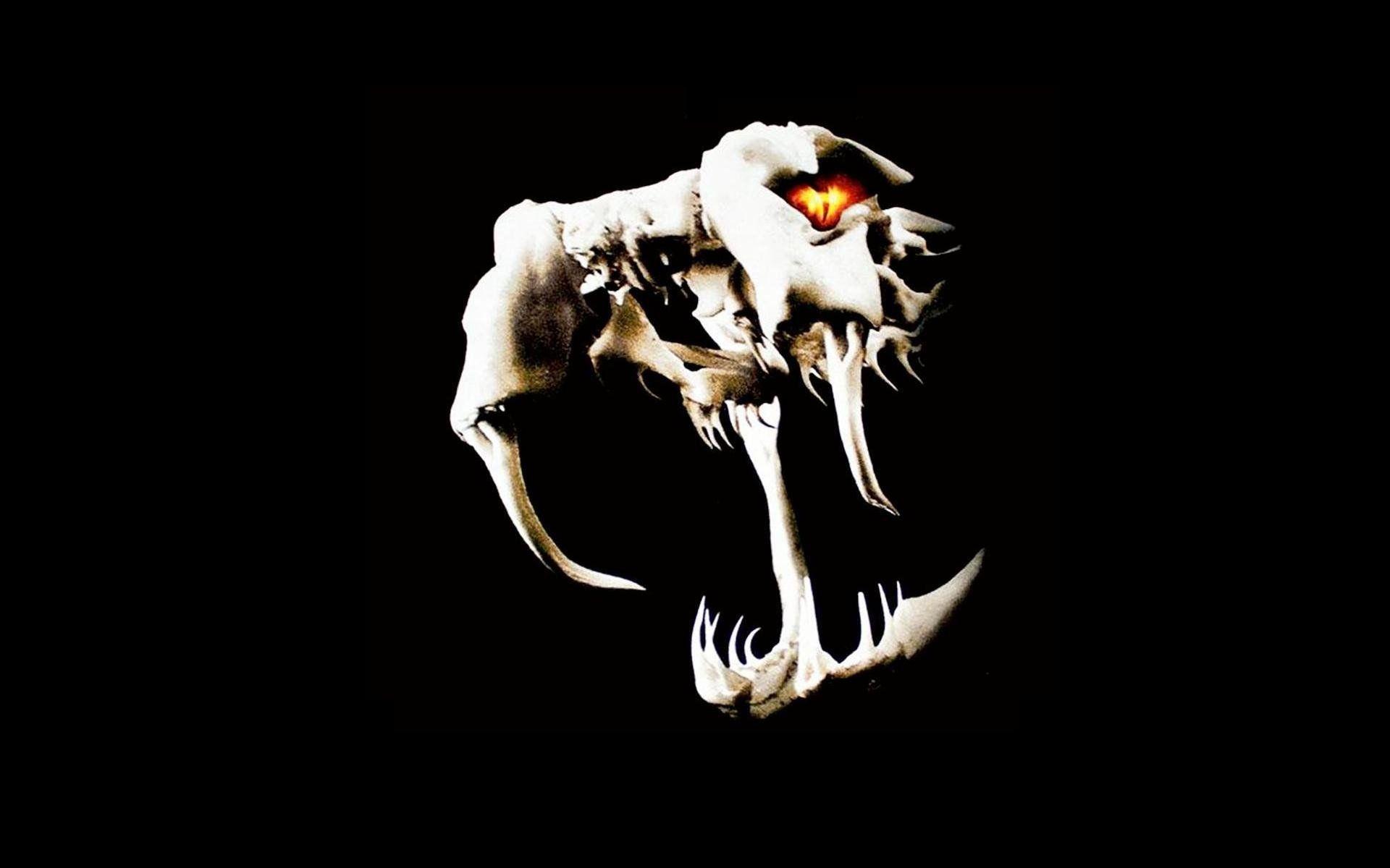 Randy Orton Viper Wallpaper Wallpaper. HD Wallpaper