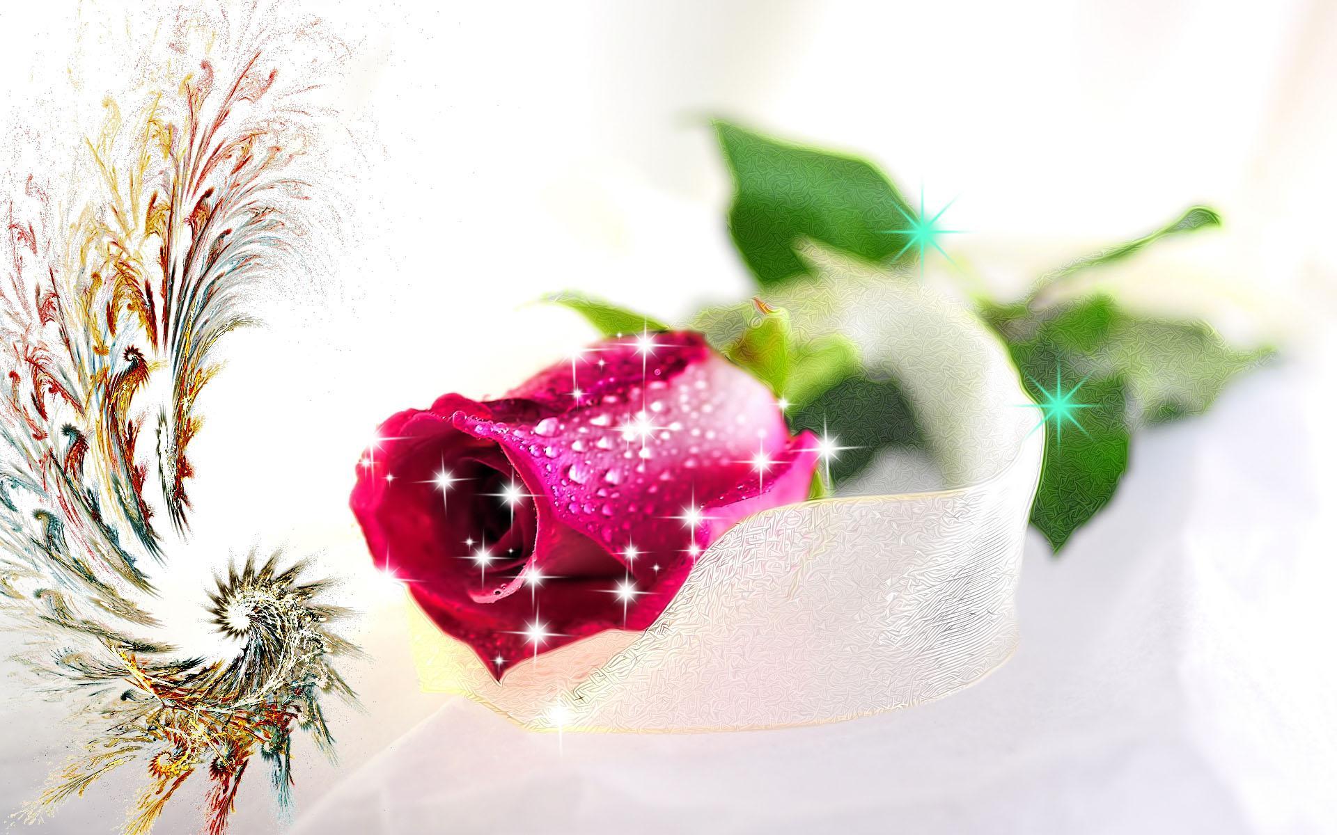 New Full Hd Love Wallpapers Wallpaper Cave New Full Hd Love Wallpapers Wallpaper Cave