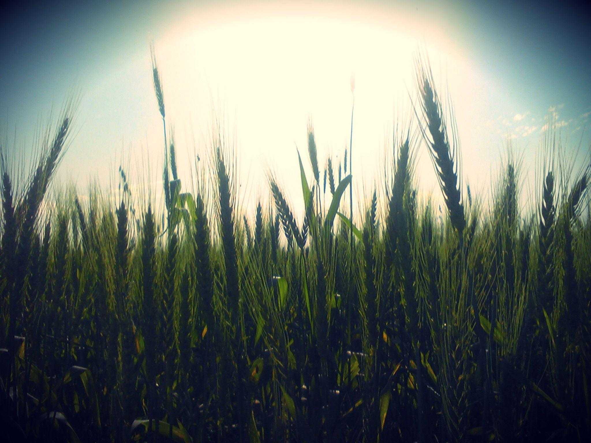 Hipster Computer Background HD Pics 4k Desktop Wallpaper Of