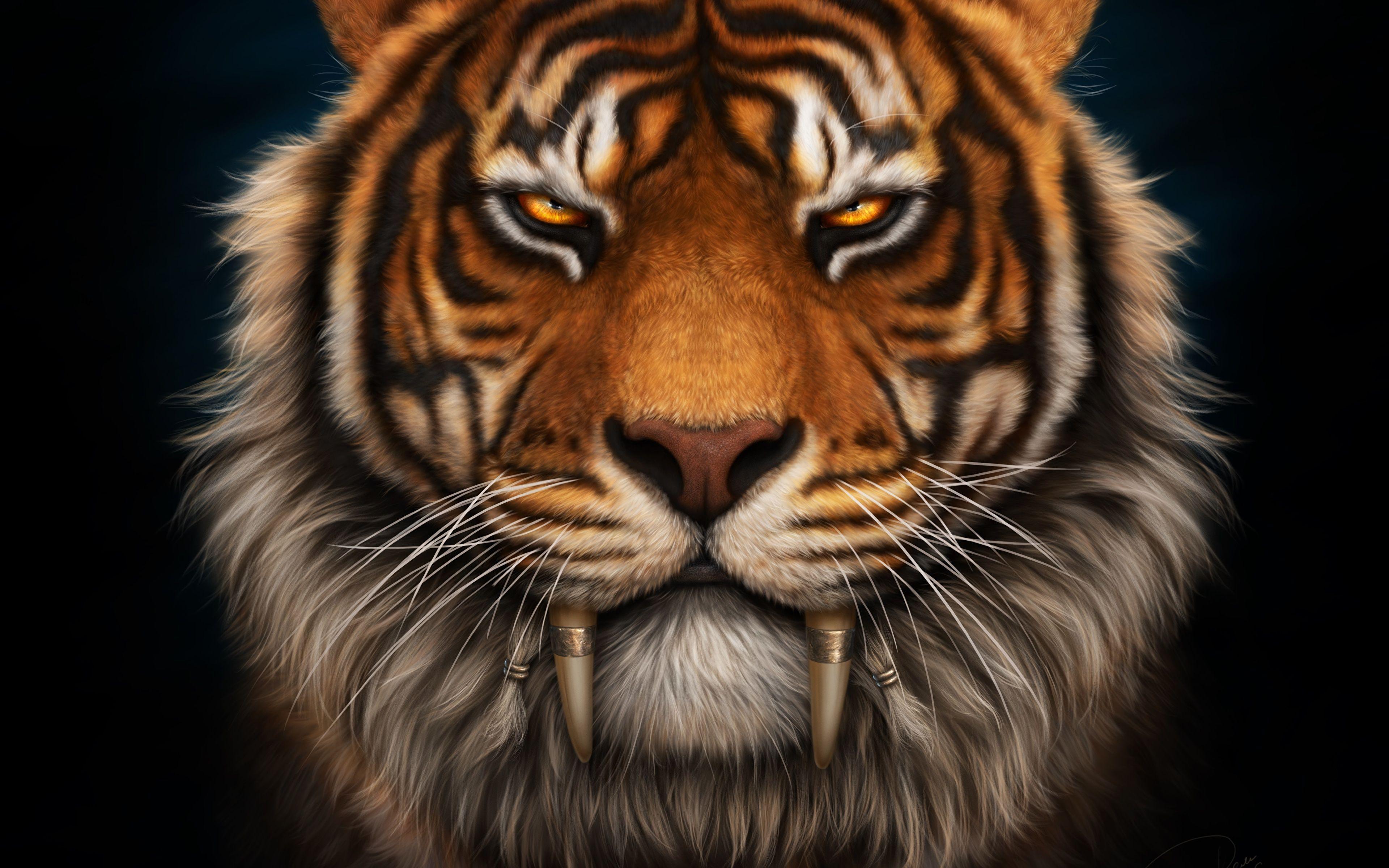 Picture Tigers Canine Tooth Fangs Saber Toothed Whiskers 3840x2400