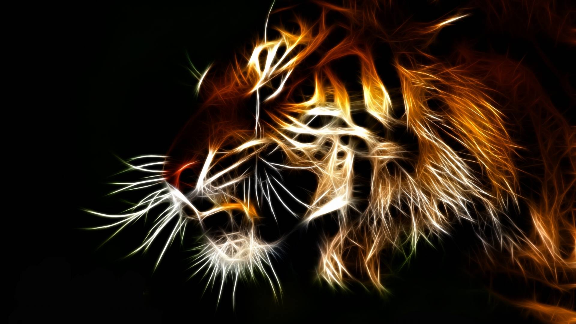 Tiger HD Wallpaper 0017