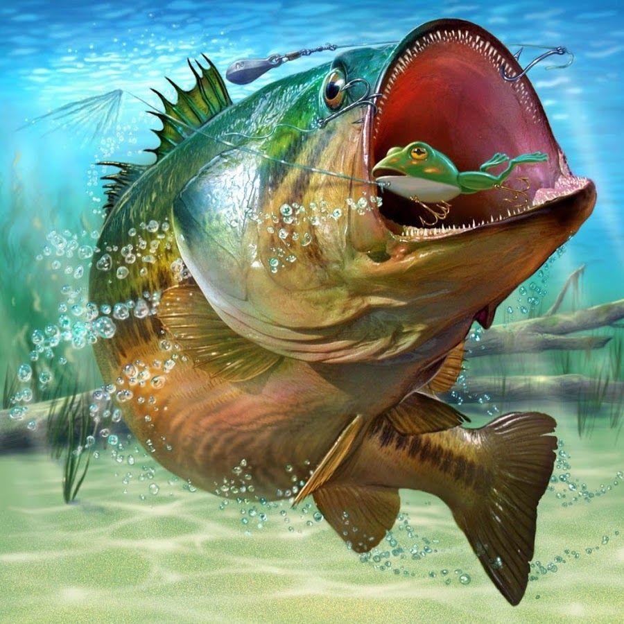 Wallpapers Of Fish Bass - Wallpaper Cave