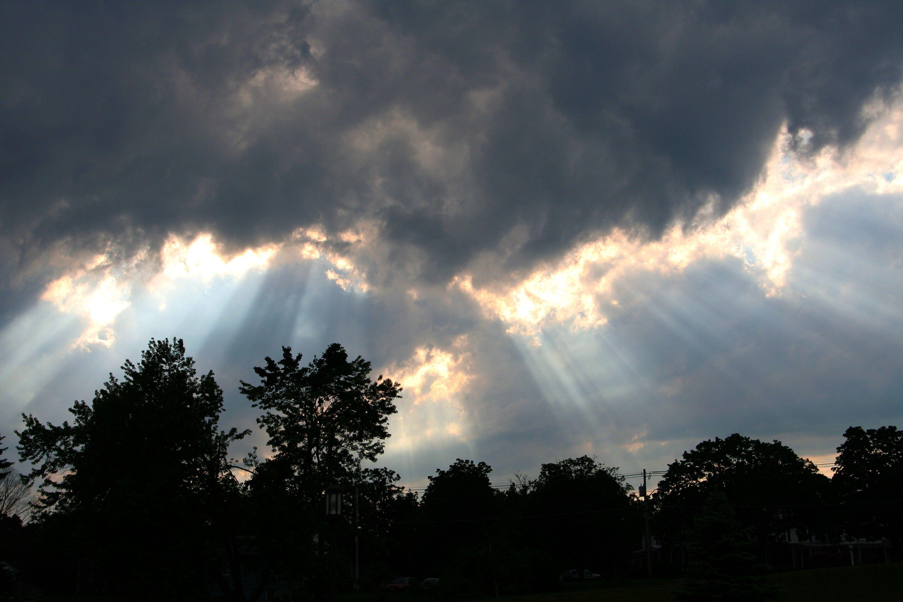Forces Of Nature Strom Clouds Storm Trees Sky Cloud HD Desktop