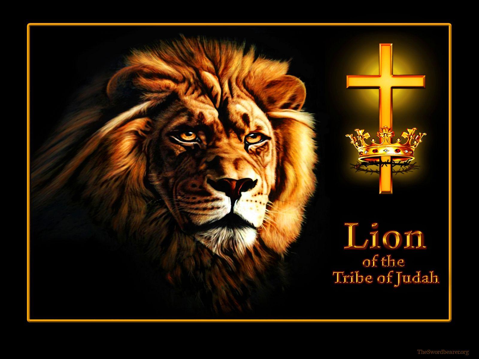 Lion Of Judah Rasta Wallpaper