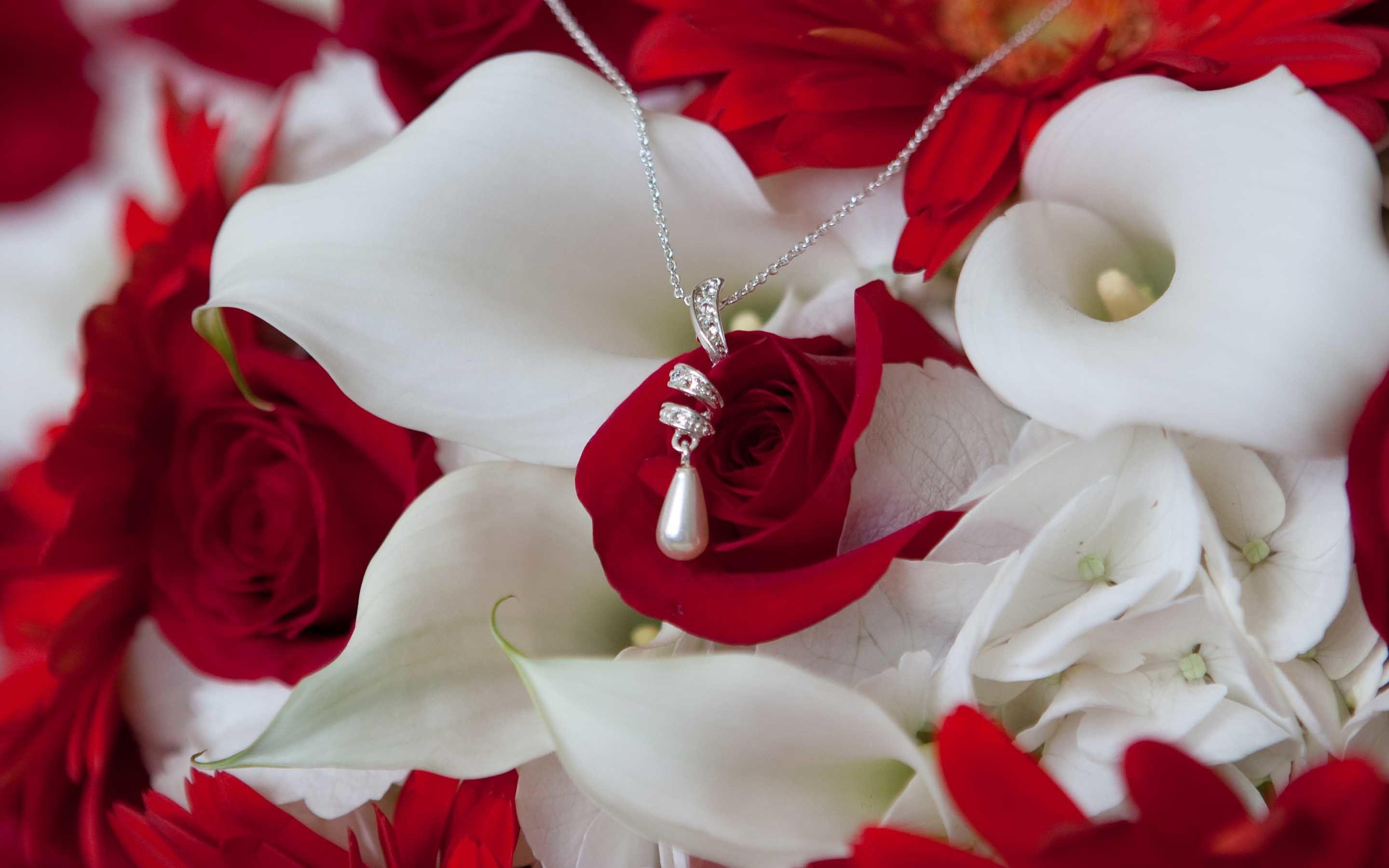 Red Rose Heart Wallpaper 10 HD Wallpaper Free
