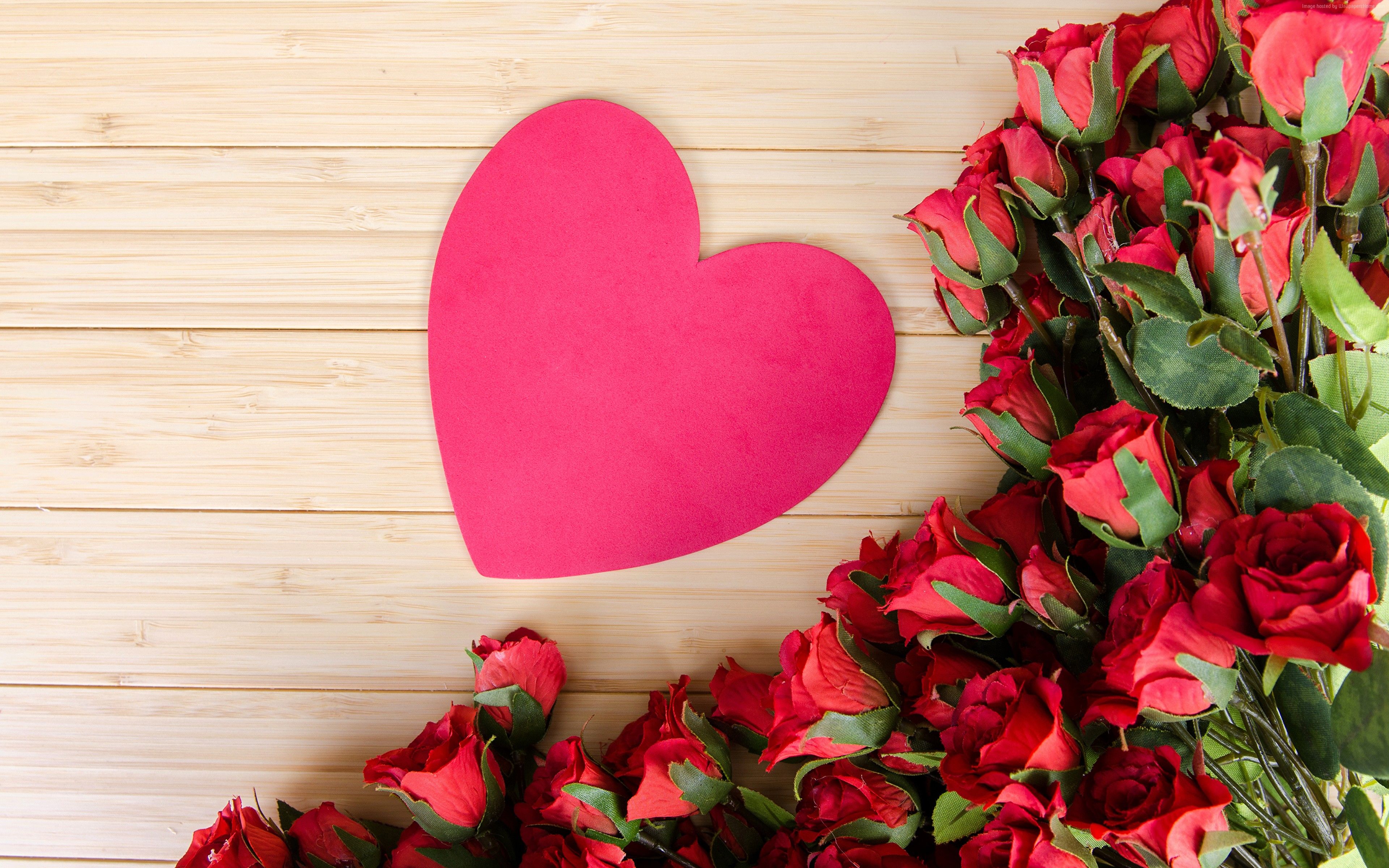 Stock Image love image, heart, rose, flowers, 4k, Stock Image