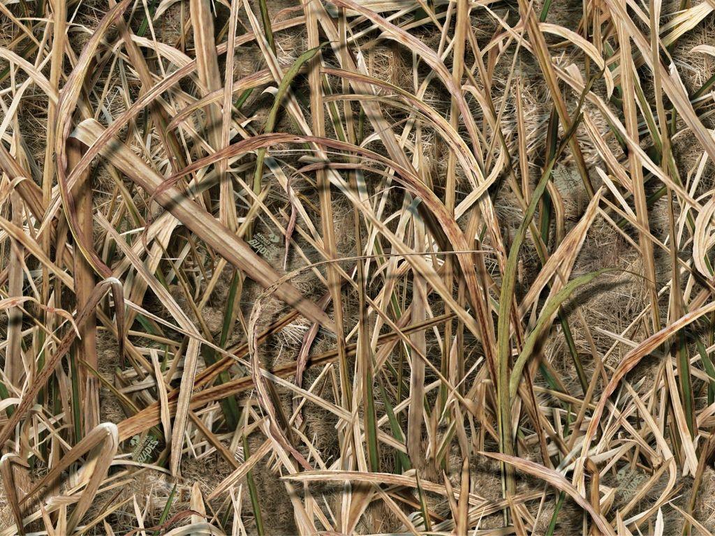 Duck hunting camo background 8782900