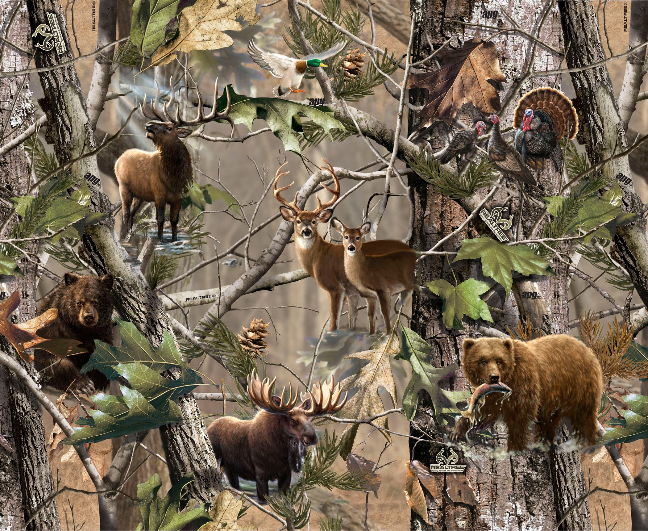 Realtree Deer Wallpaper
