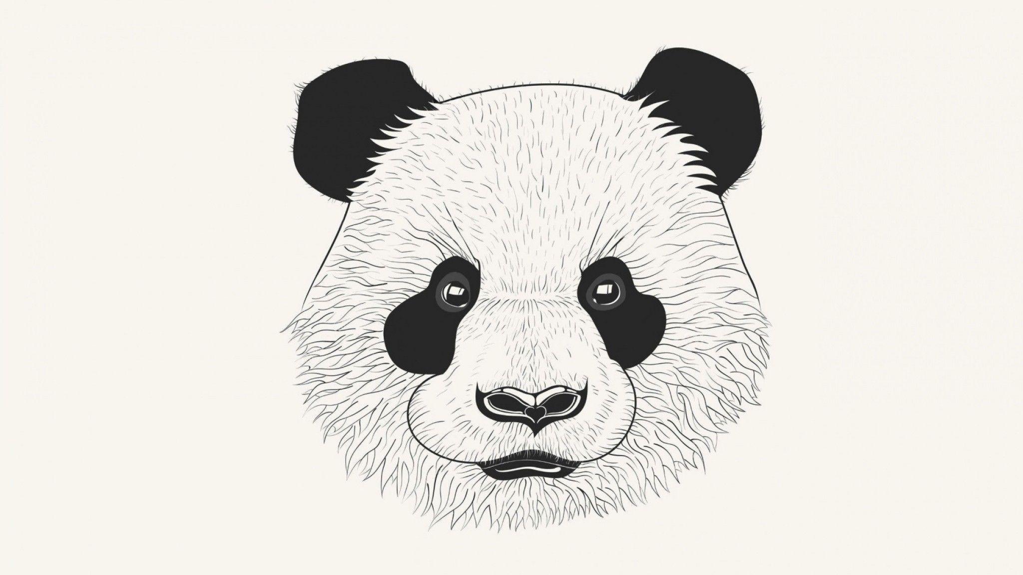 Cute Cartoon Panda Wallpaper 64 HD Wallpaper Free