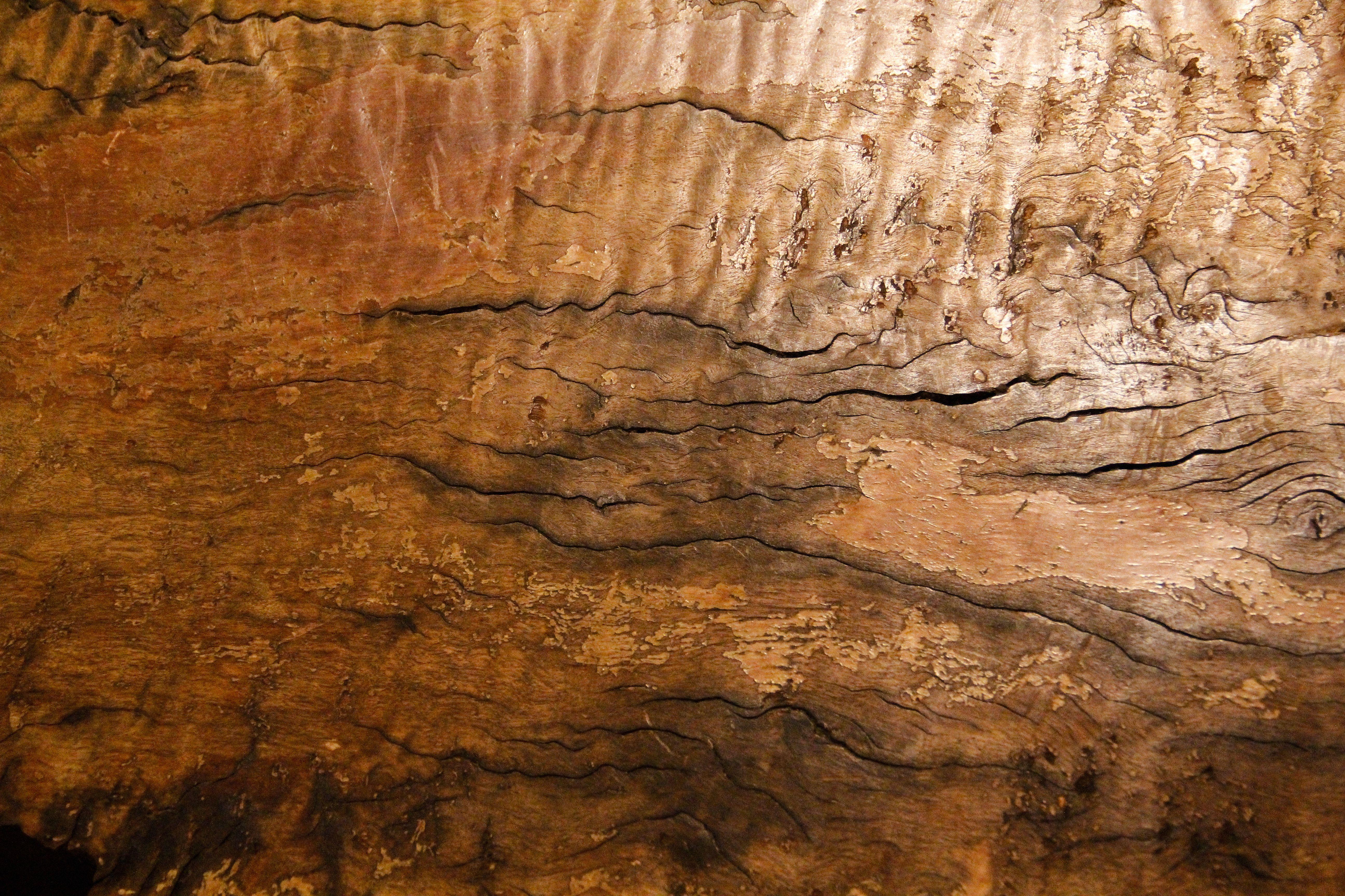 wood burl texture rough cracked natural wooden wallpaper