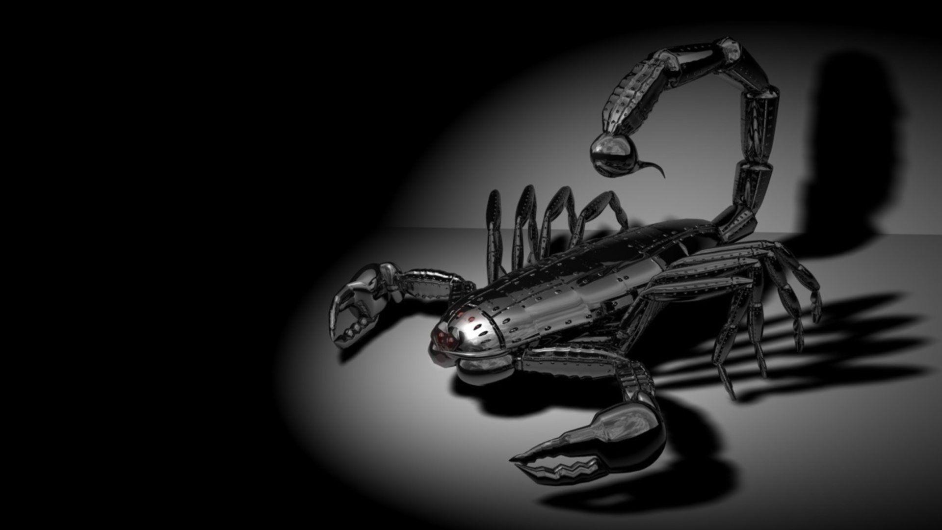 Black Scorpion HD Wallpaper From Gallsource.com. Robot